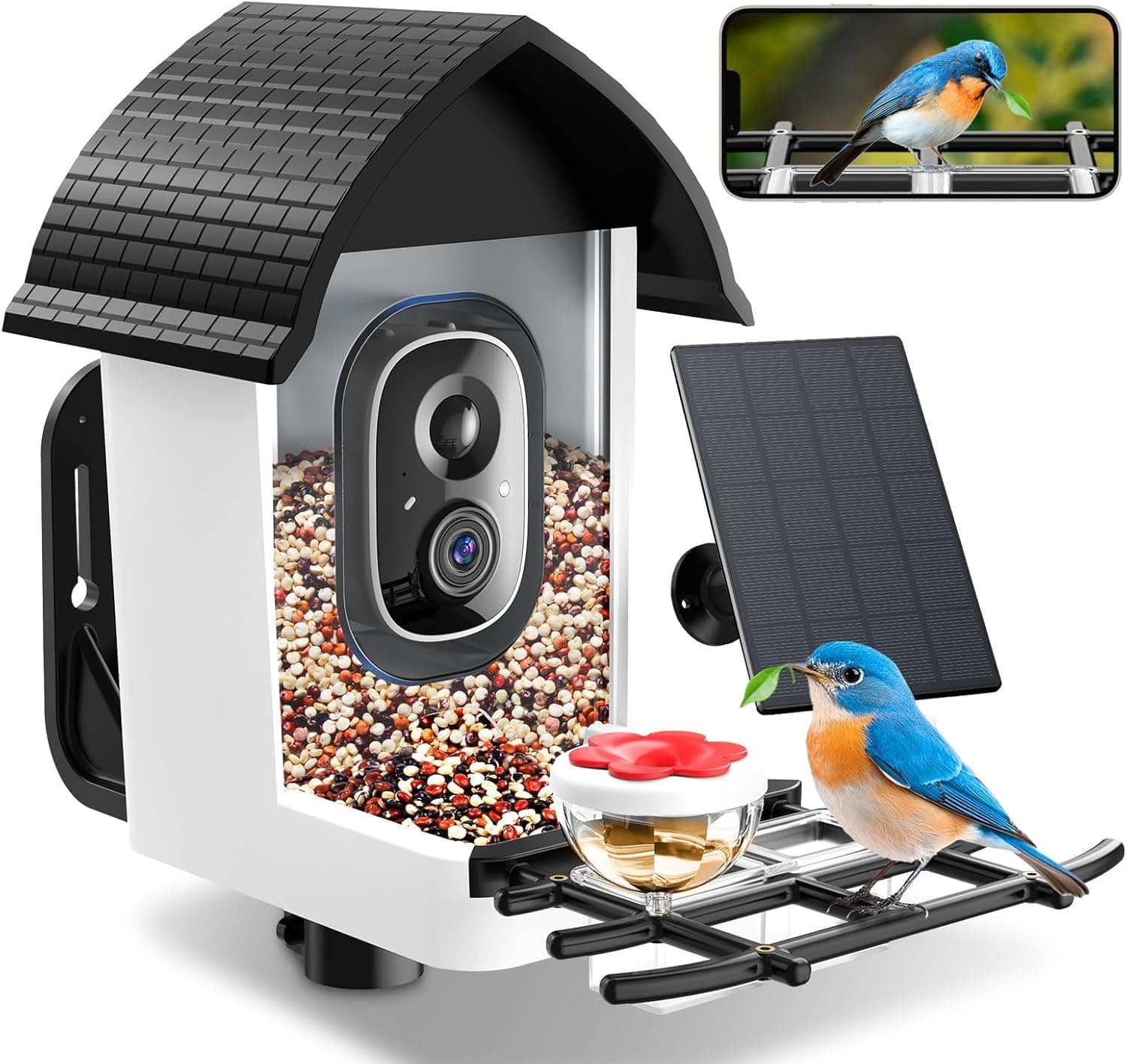 Bird Feeder with Camera - 2K HD Live View, AI Identification & Instant Alerts, Weatherproof for Outdoors, 2.4GHz WiFi Solar Powered Smart Feeder for Bird Lovers - Image 2