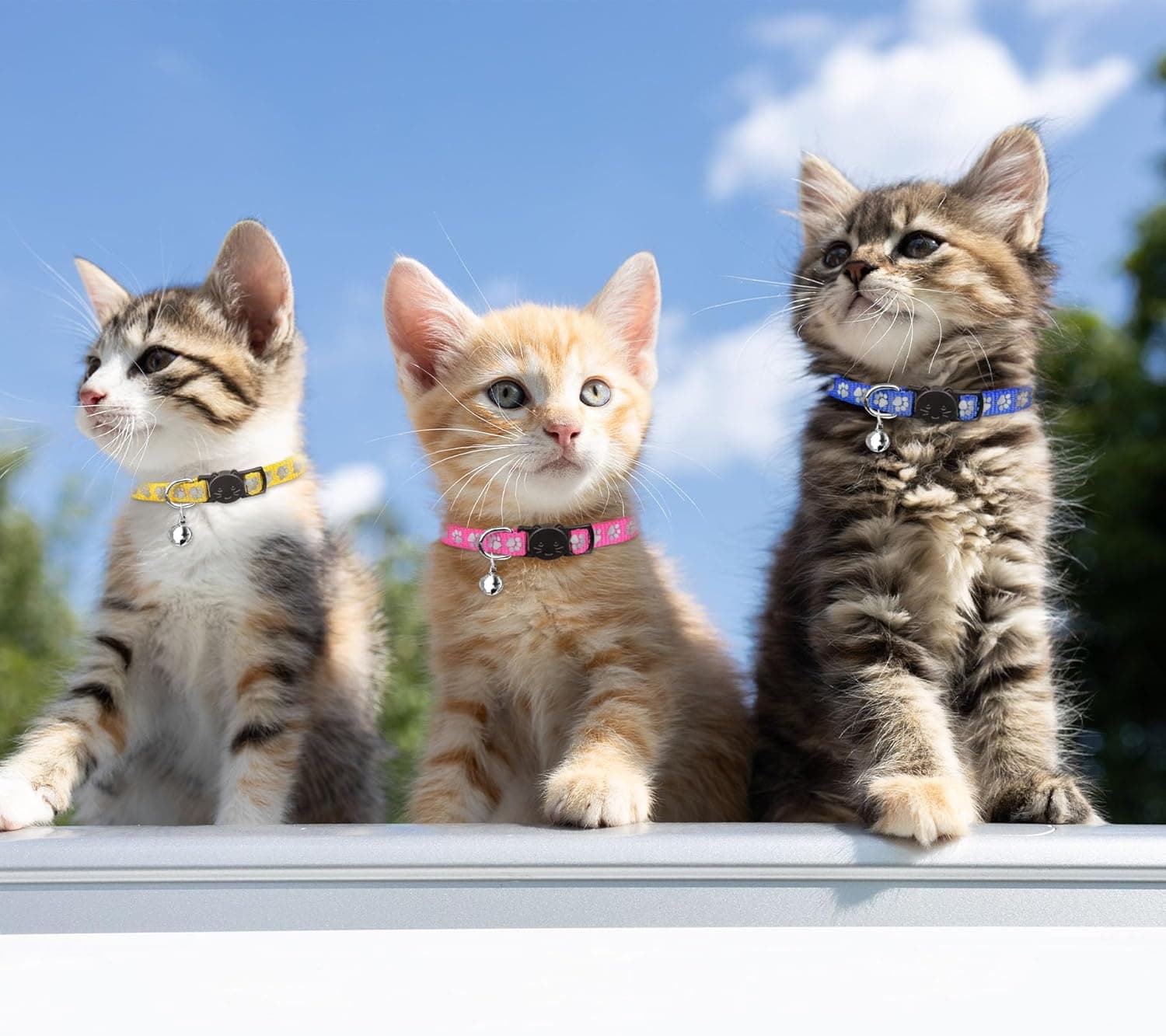 16 PCS Breakaway Cat Collars with Bells Reflective Cat Collar Safety Nylon Kitten Collars Cat Collars for Girl Boy Cats(6"-9") Kittens(6" - 9") - Image 3