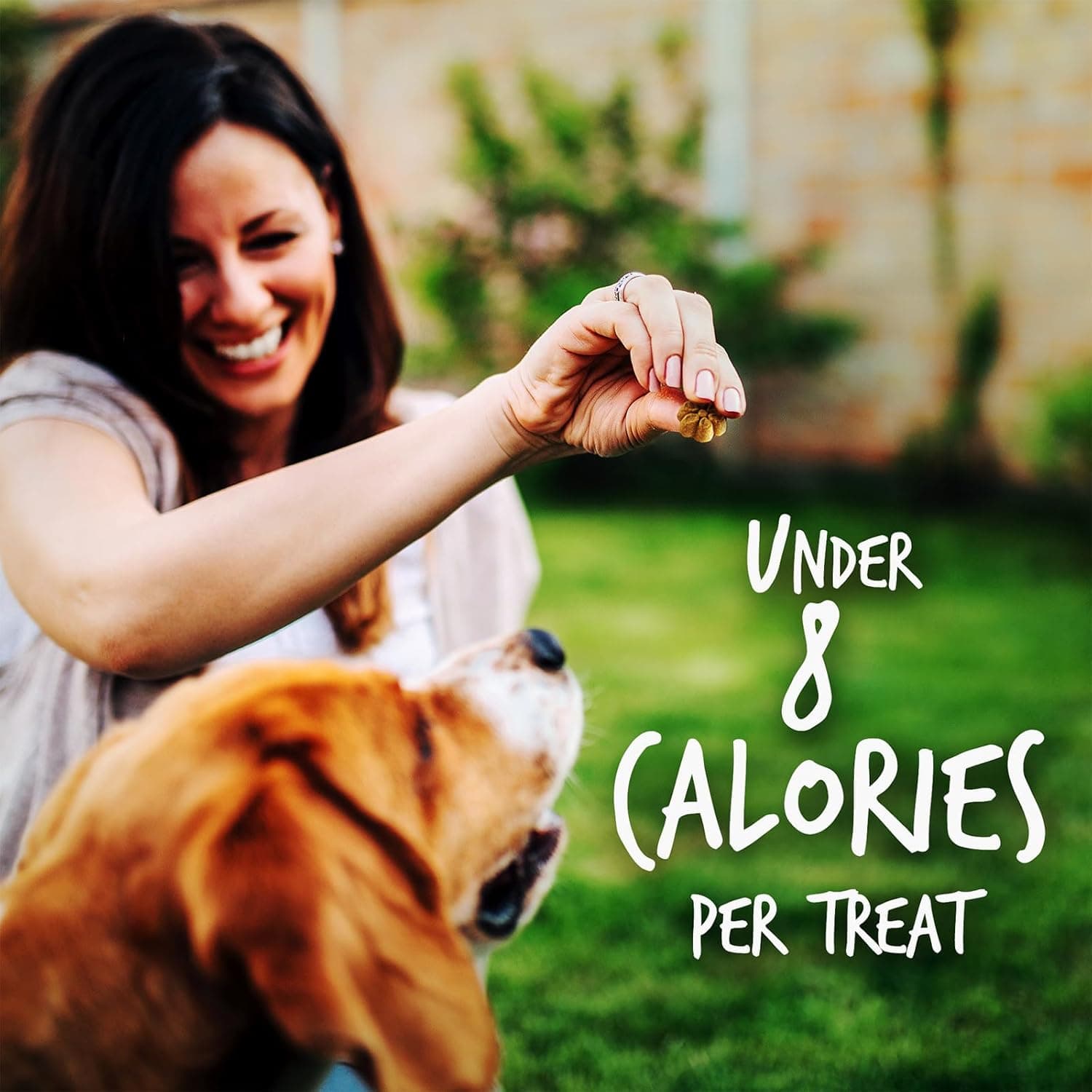 Fruitables Baked Dog Treats, Healthy Pumpkin Treat for Dogs, Low Calorie & Delicious, Free of Wheat, Corn and Soy, Made in the USA, Apple and Crispy Bacon Flavor, 12oz 12 Ounce (Pack of 1) Apple and Crispy Bacon - Image 6