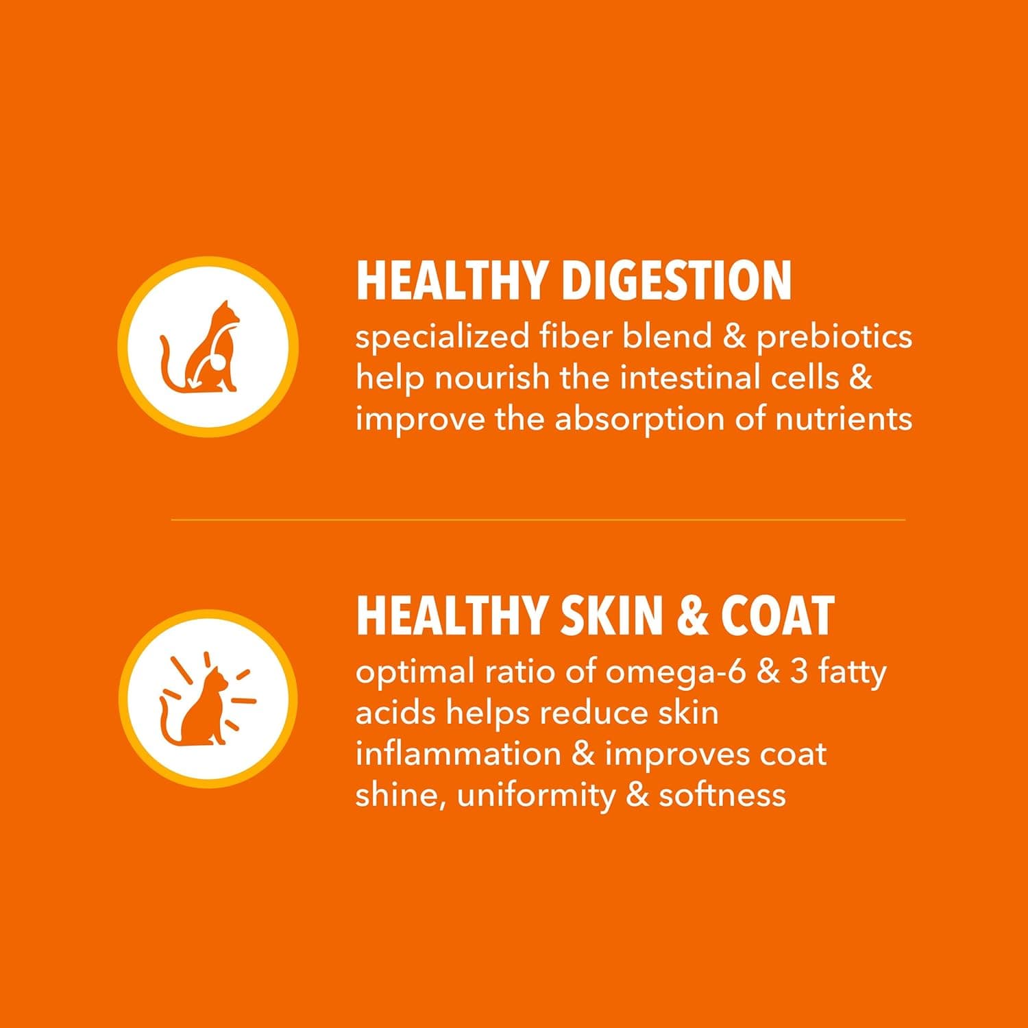 IAMS Proactive Health Adult Healthy Dry Cat Food with Chicken, 22 lb. Bag Adult Chicken 22 Pound (Pack of 1) - Image 5