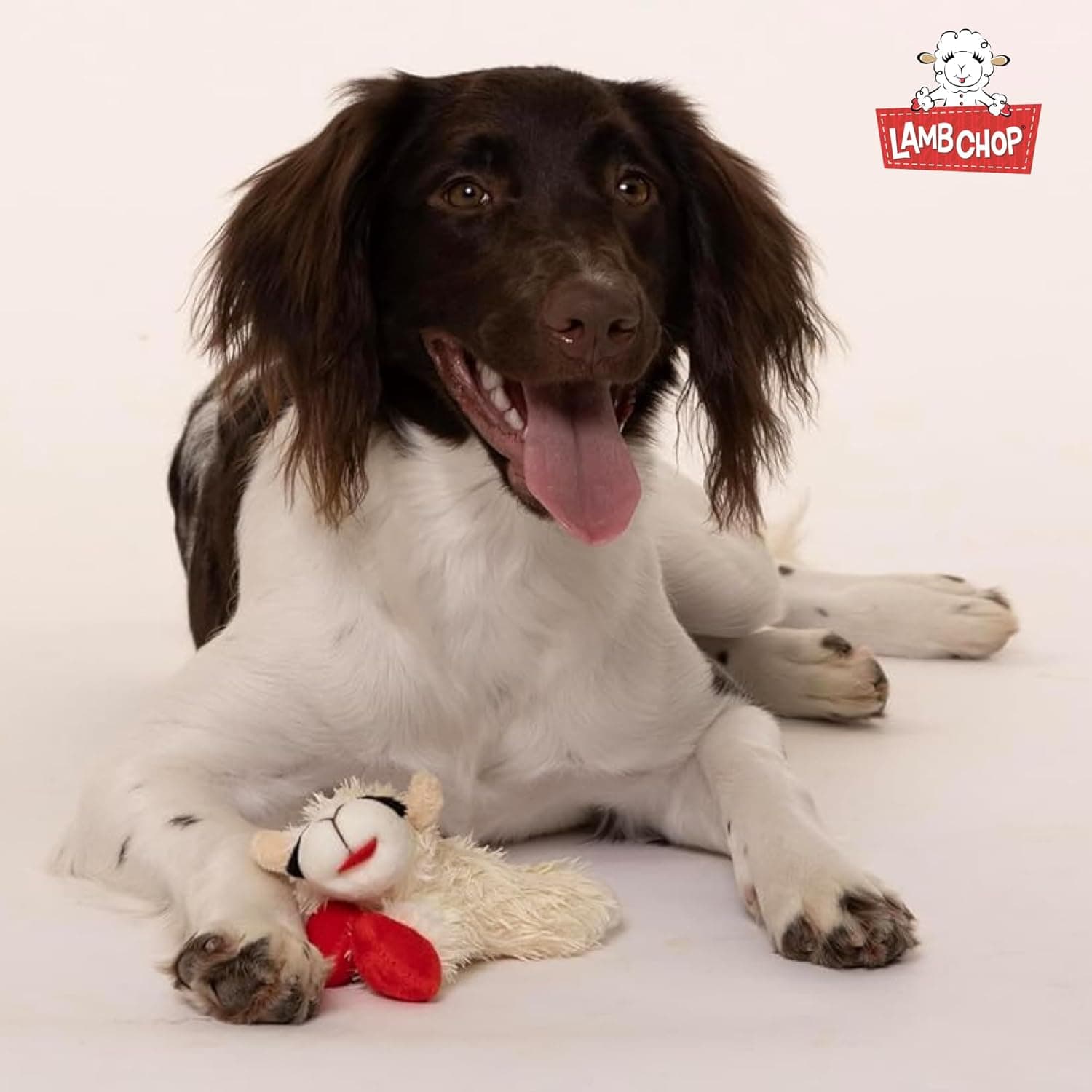 Multipet Lamb Chop Dog Plush Toy - Squeaky Toy for All Dogs - Extra Soft Plush - Stuffed Animal Dog Toy for Cuddling & Playing - Cute Pet Toy (6", Cream) White 6" - Image 10