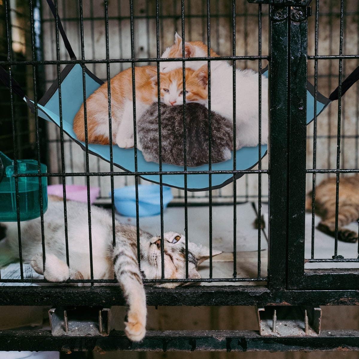 Cat Hammock for Cage Hanging ，Summer Breathable Coolness Oxford Cat Hammock Bed，with Straps and Metal Hooks Bed for Cats Small Dogs Rabbits - Image 5