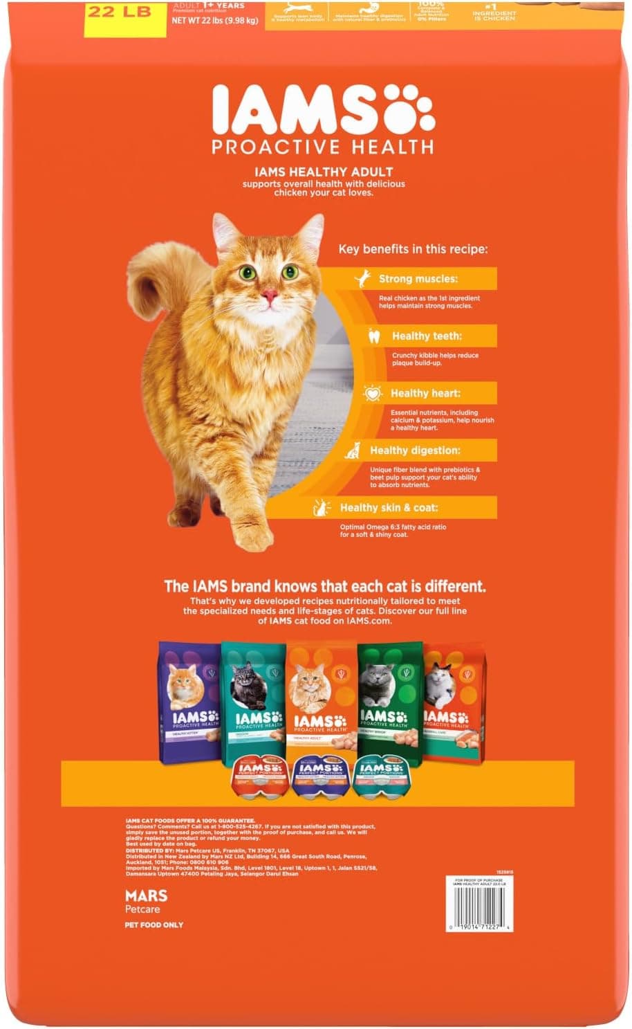 IAMS Proactive Health Adult Healthy Dry Cat Food with Chicken, 22 lb. Bag Adult Chicken 22 Pound (Pack of 1) - Image 3