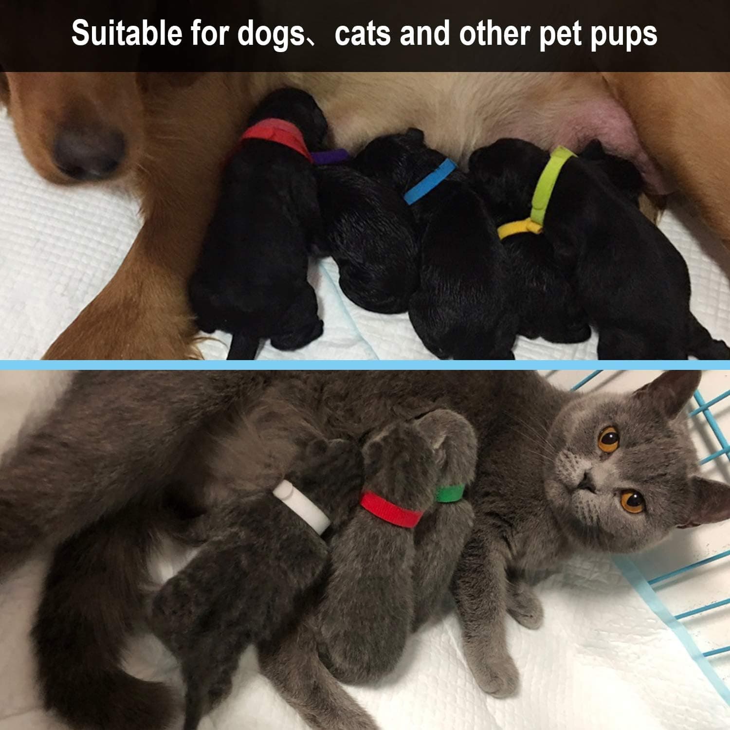 15 Pcs Puppy Whelping Collars Newborn Pet Collars Double-sided Soft Adjustable ID Bands Puppy Id Collars for Newborn Pet Dog Cat 15 Colors 15 Pcs -15 Colors - Image 7
