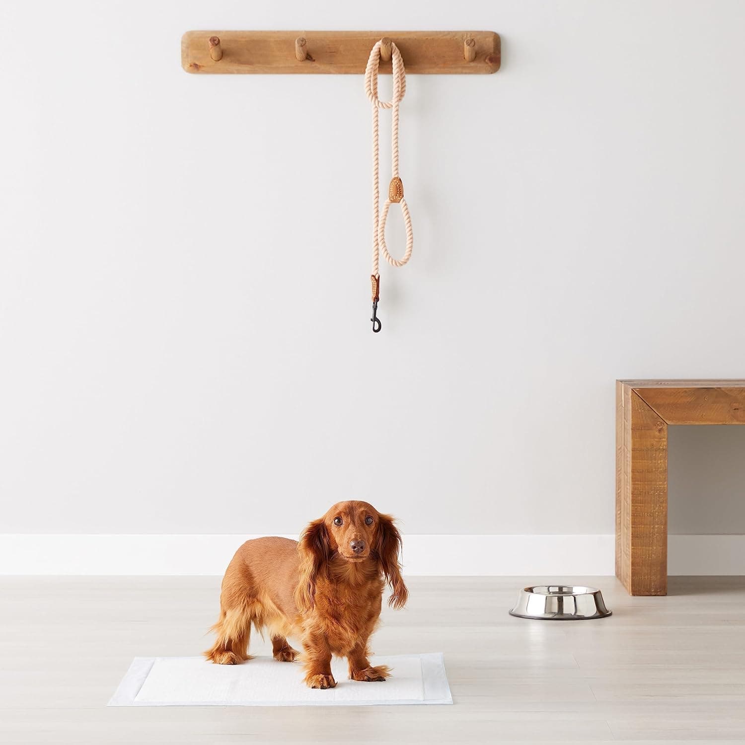 Amazon Basics Almohadillas para Perros y Cachorros, 5 Capas a Prueba de Fugas, Súper Absorbentes, Superficie de Secado Rápido, Entrenamiento para Ir al Baño, Regular (22x22”), 100 Contenido, Azul y Blanco Regular (100 Contenido) - Image 6