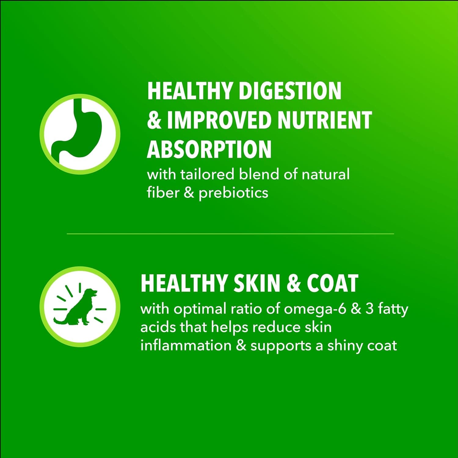 IAMS Proactive Health Adult Minichunks Comida Seca para Perros Pollo y Granos Enteros, Bolsa de 30 lb. Pollo 30 Libras (Paquete de 1) - Image 6