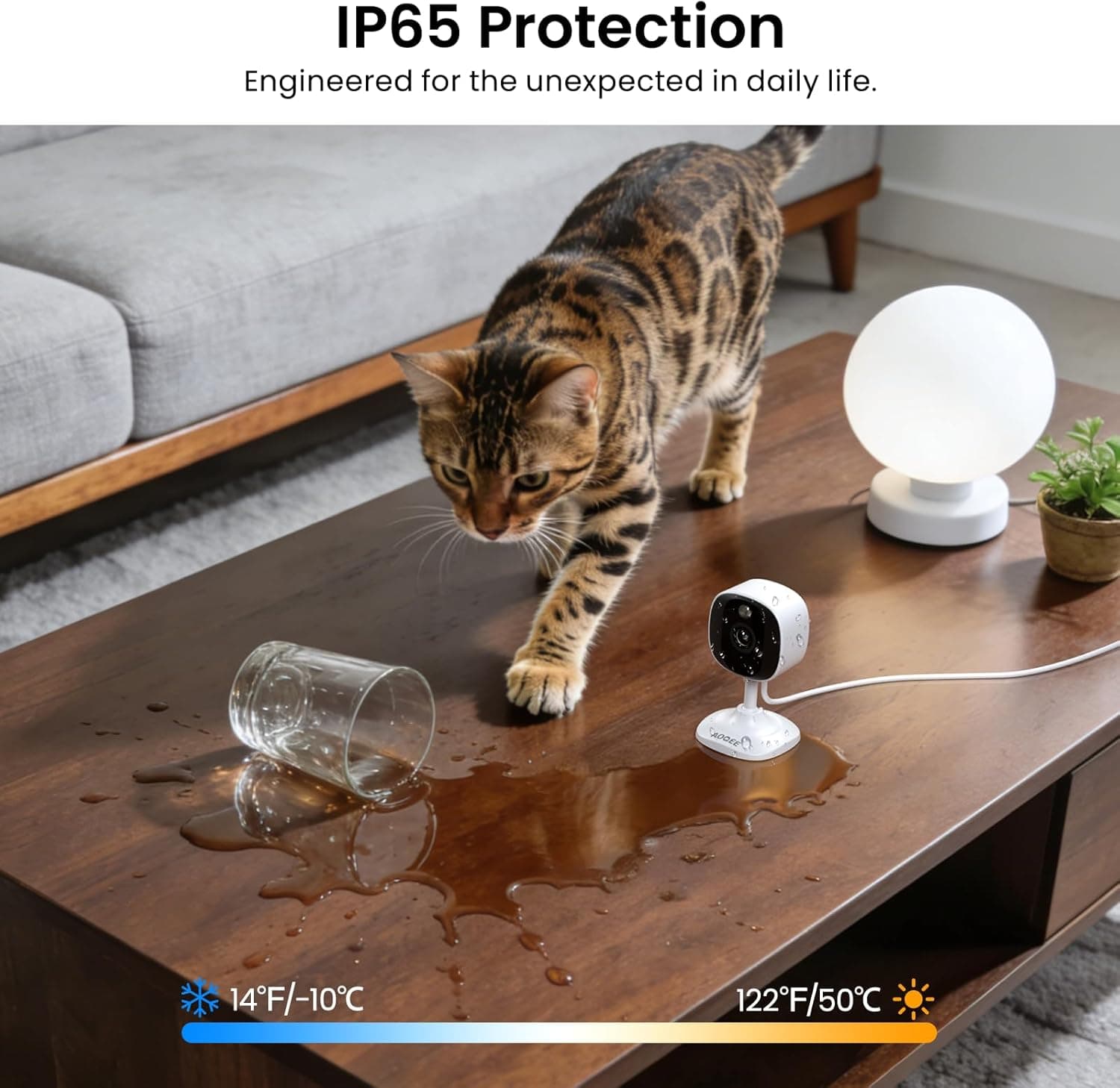 2K Cameras for Home Security-Outdoor/Indoor Camera for Dog/Cat/Pet/Nanny/Baby/Elderly, Color Night Vision, White Light, Siren, 24/7 SD Recordings, Works with Alexa, Plug in (C1-White-2pack-2.4G) - Image 5