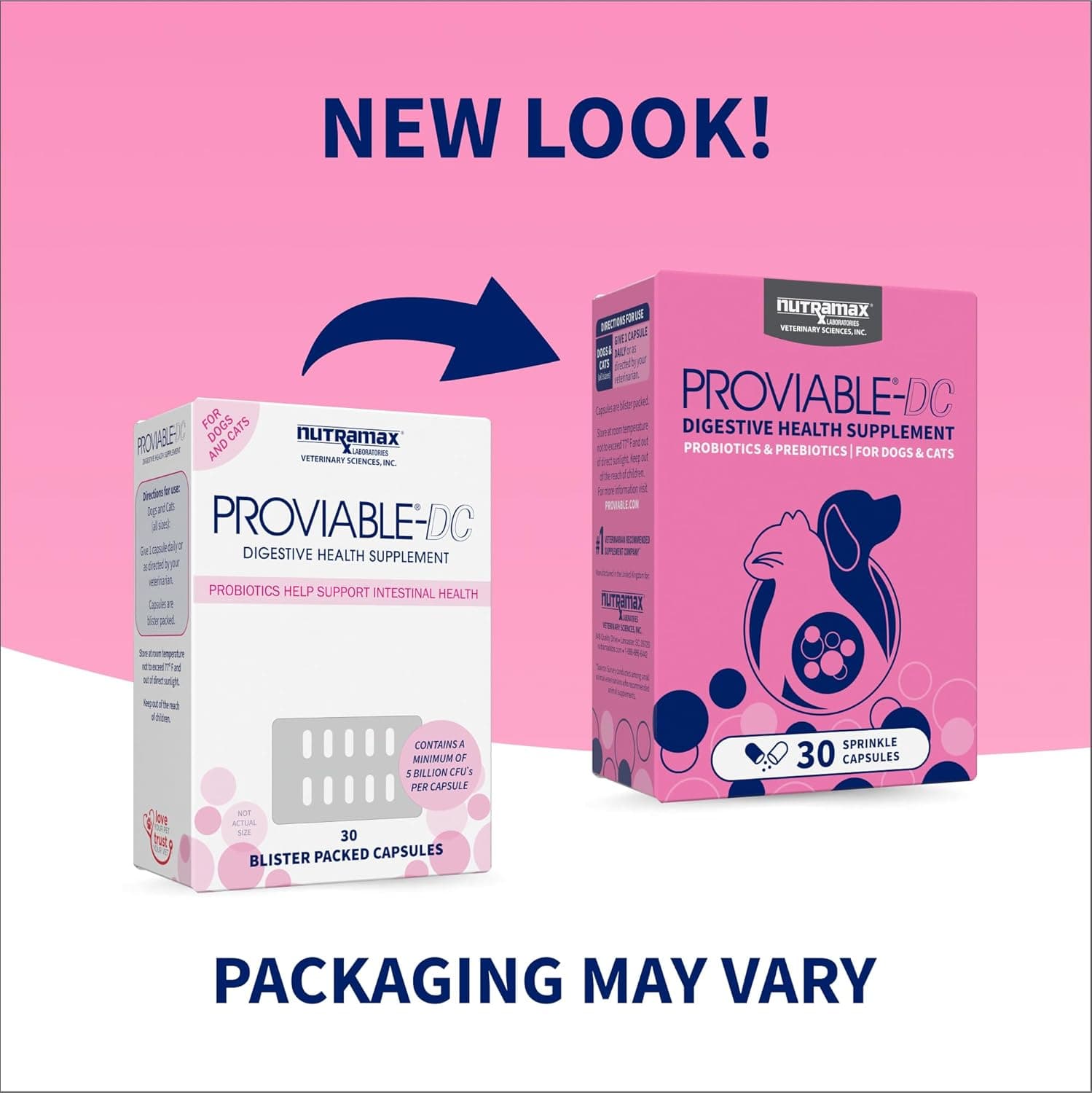 Nutramax Proviable Probiotics for Dogs and Cats, Daily Digestive Health Supplement with Multiple Strains of Bacteria, Cat and Dog Probiotics Plus Prebiotics, 30 Capsules 30 Count - Image 3