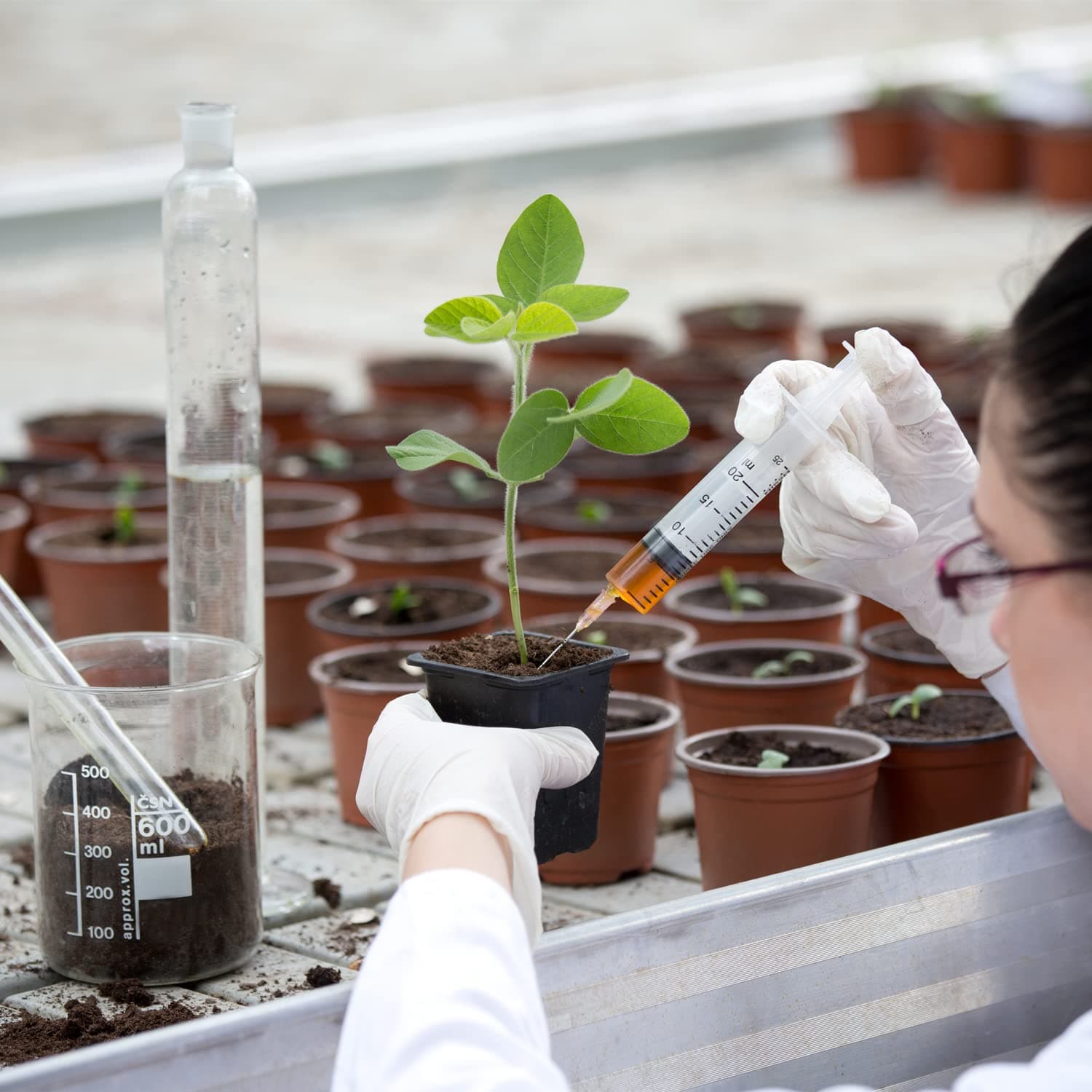 Gói 100 Kim 30 Gauge 1/2 Inch, Kim Tiêm Cung Cấp Phòng Thí Nghiệm Được Đóng Gói Riêng Biệt 30gauge 1 inch - Image 7