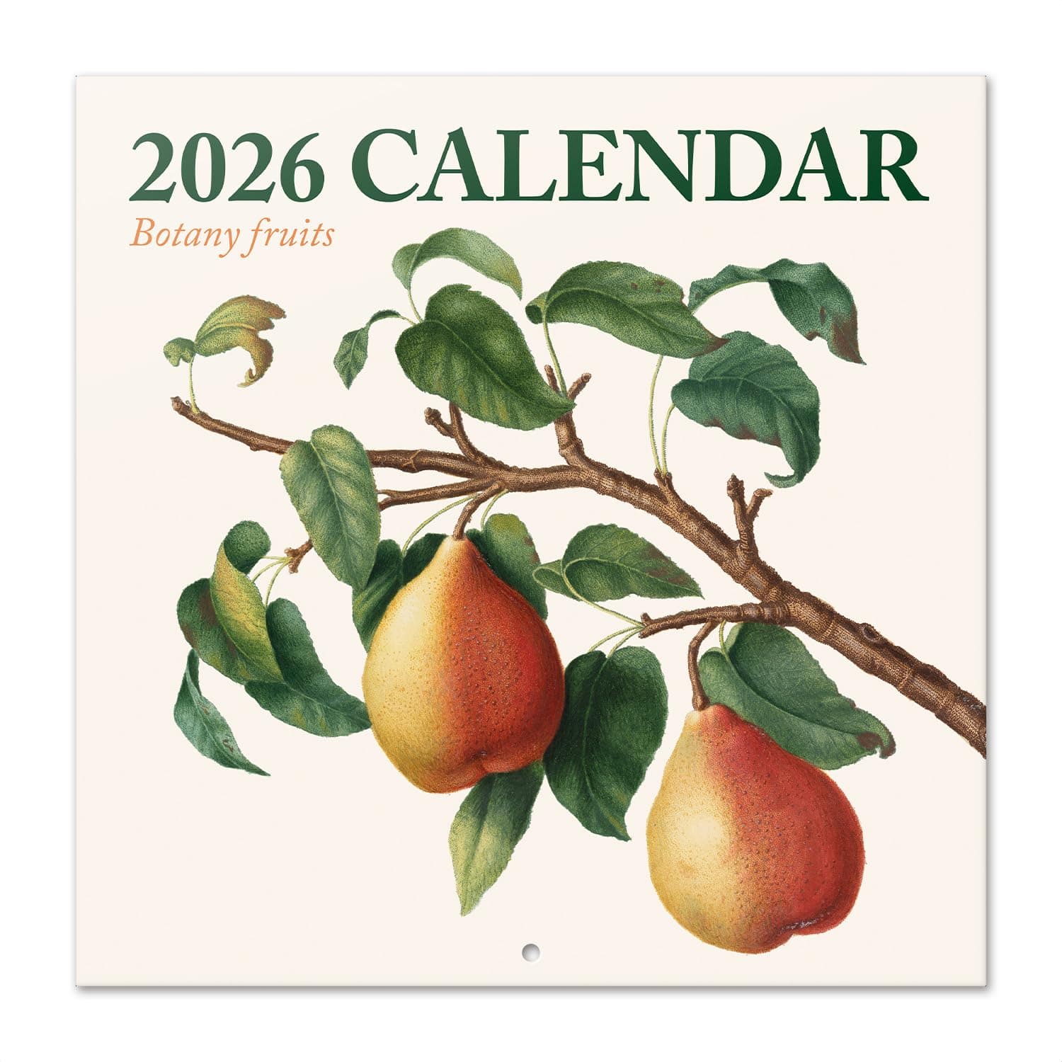 Calendario Botánico de Pared 2026 12" x 12" Sin Plástico FSC® - Comienza la Semana el Domingo | Planificador Familiar Calendario de Frutas 2026 Frutas Botánicas 20206
