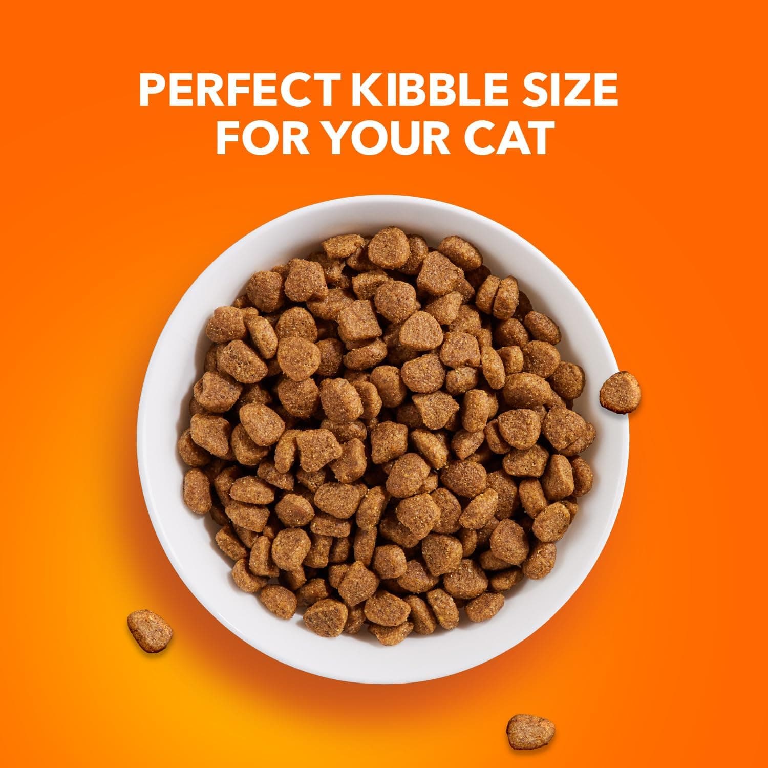 IAMS Proactive Health Adult Healthy Dry Cat Food with Chicken, 22 lb. Bag Adult Chicken 22 Pound (Pack of 1) - Image 9