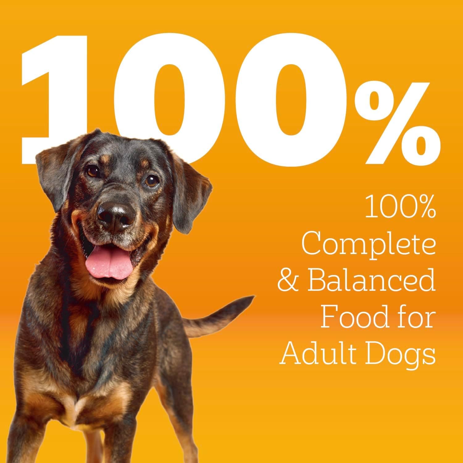 Pedigree High Protein Adult Dry Dog Food, Beef and Lamb Flavor, 18 lb. Bag Beef and Lamb 18 Pound (Pack of 1) - Image 4