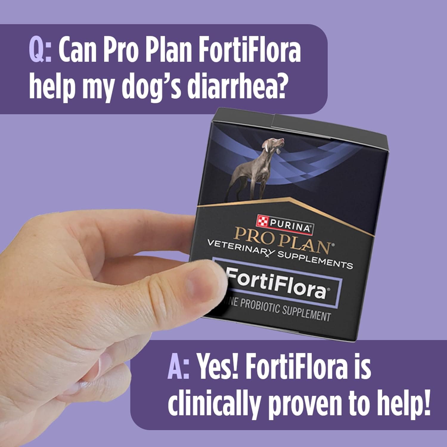Purina Pro Plan Veterinary Supplements FortiFlora Canine Probiotics for Dogs, Helps Digestive Gut Health and Diarrhea - 30 ct. Box Powder Sachets 30 Count (Pack of 1) - Image 9