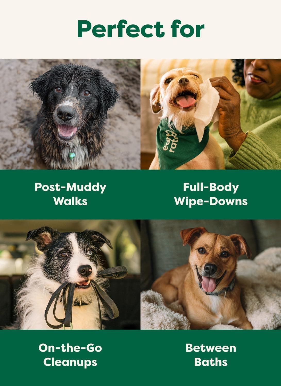 Earth Rated Pet Wipes for Dogs and Cats, Hypoallergenic, Cleaning and Hydrating, for Grooming Paws, Body and Butt, Unscented, 100 Count 100 Grooming Wipes Unscented - Image 7