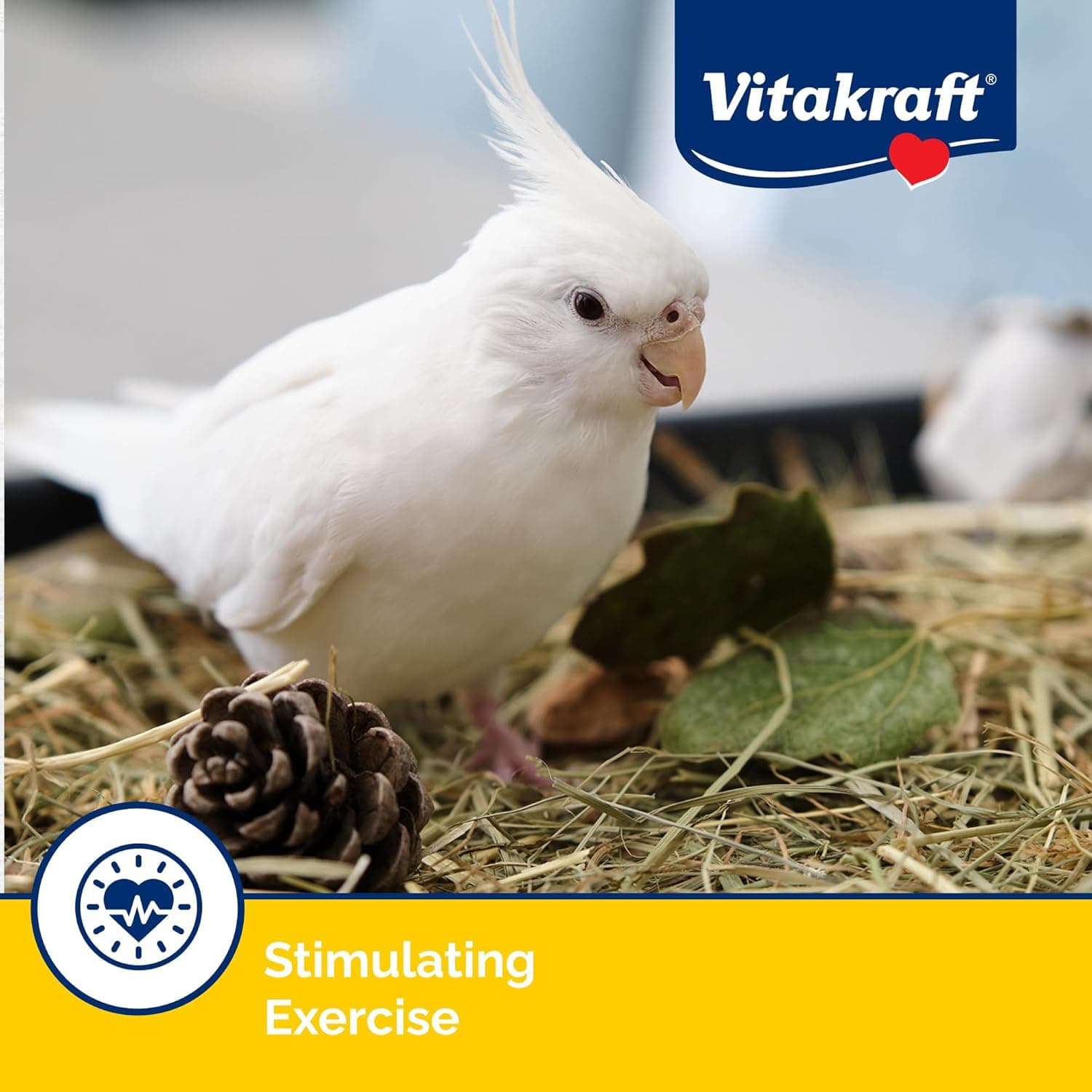 Vitakraft Crunch Sticks Cockatiel Treat - Apricot and Peach - Pet Bird Treat Toy, 3.5 oz - Image 8