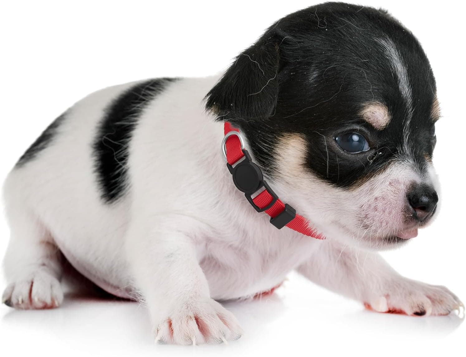 18 Pcs Breakaway Pet Collars,Safety Buckle for Puppy Collars and Kitten Collar,Nylon,Mixed Colors,Adjustable,Ideal for Girl Boy Pet Supplies,Stuff,Accessories(M) M(9''-12'') - Image 7