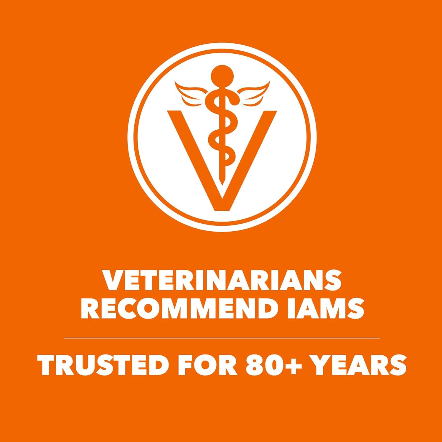 IAMS Proactive Health Adult Healthy Dry Cat Food with Chicken, 22 lb. Bag Adult Chicken 22 Pound (Pack of 1) - Image 6