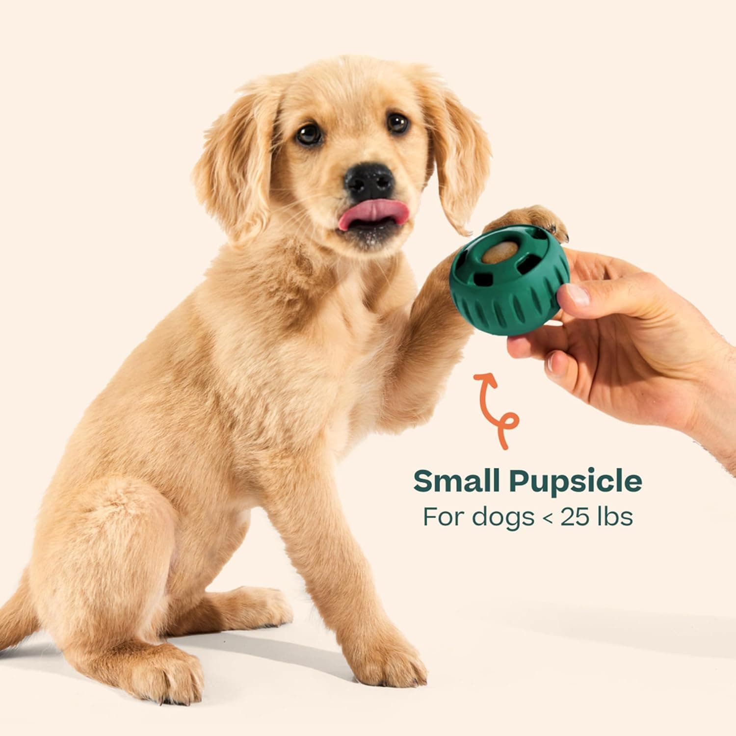 WOOF Pupsicle - Long-Lasting Interactive Dog Ball Toy to Keep Your Pup Busy and Distracted - Safe for Dogs - Low-Mess Design - Dog Toys for Medium and Large Dogs 25-75 lbs Large Green - Image 8