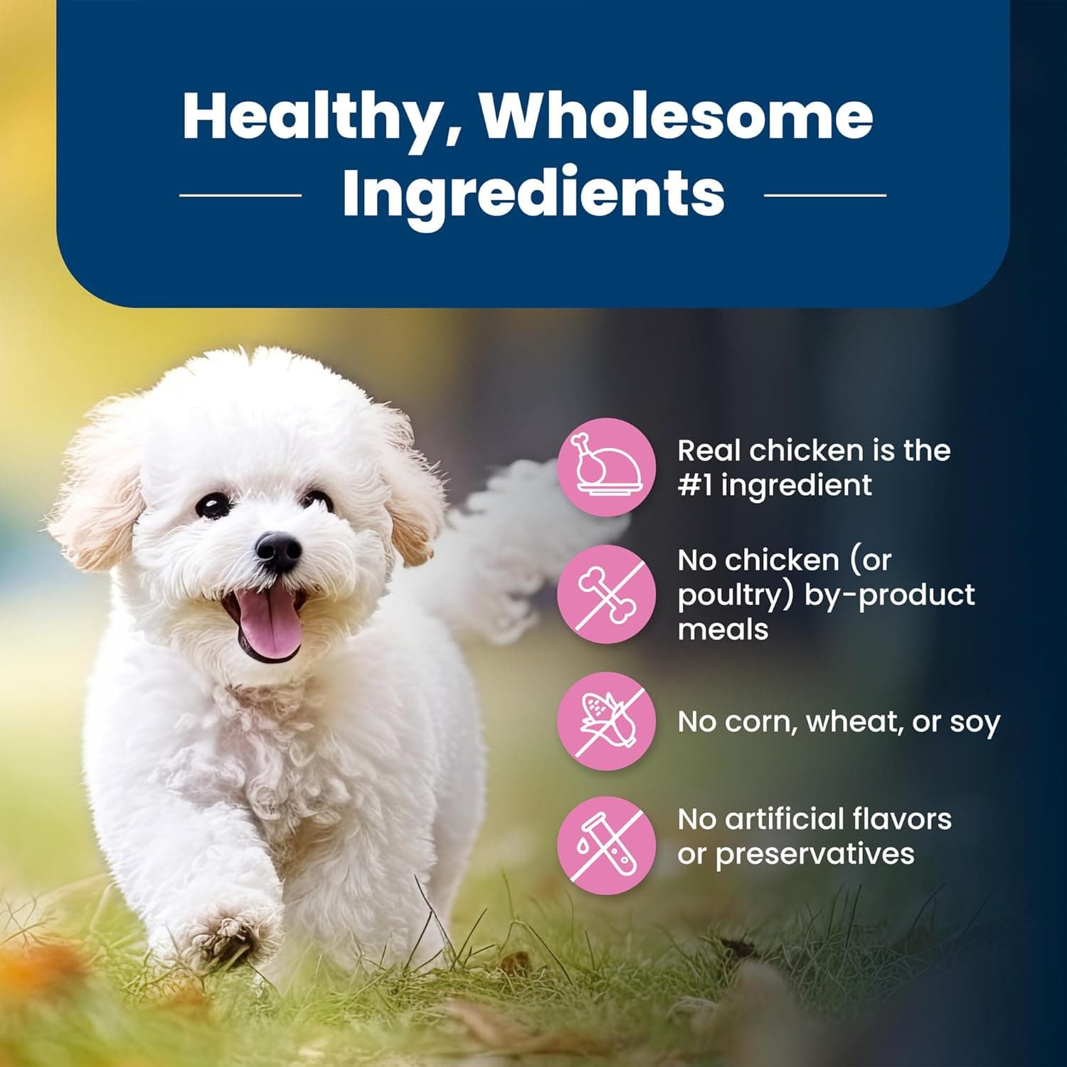 Blue Buffalo Life Protection Formula Adult Small Breed Dry Dog Food, Supports High Energy Needs, Made with Natural Ingredients, Chicken & Brown Rice Recipe, 5-lb. Bag Chicken & Brown Rice 5 Pound (Pack of 1) - Image 8