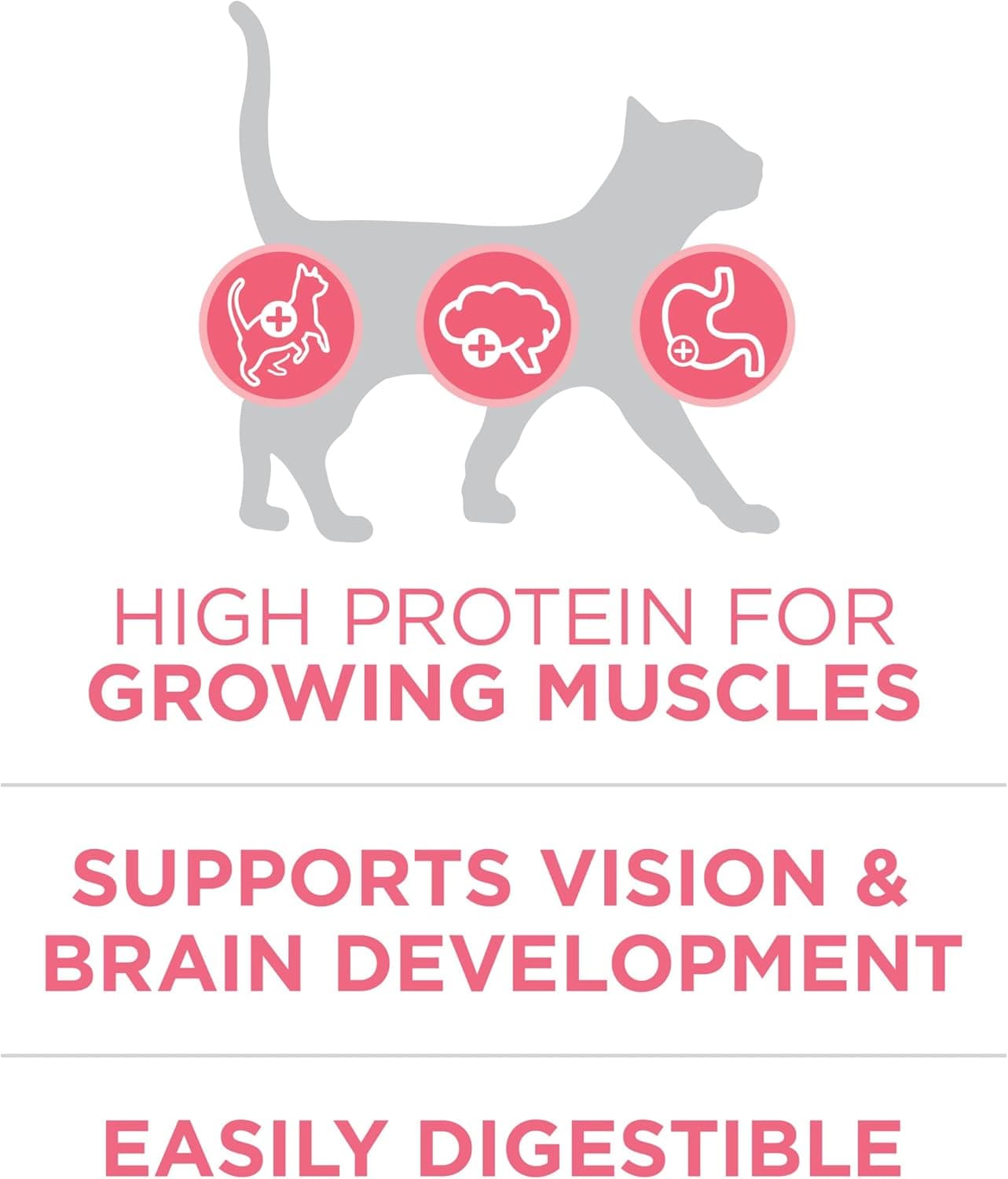 Purina ONE High Protein, Natural Dry Kitten Food, +Plus Healthy Kitten Formula - 7 lb. Bag Chicken 7 Pound (Pack of 1) - Image 5