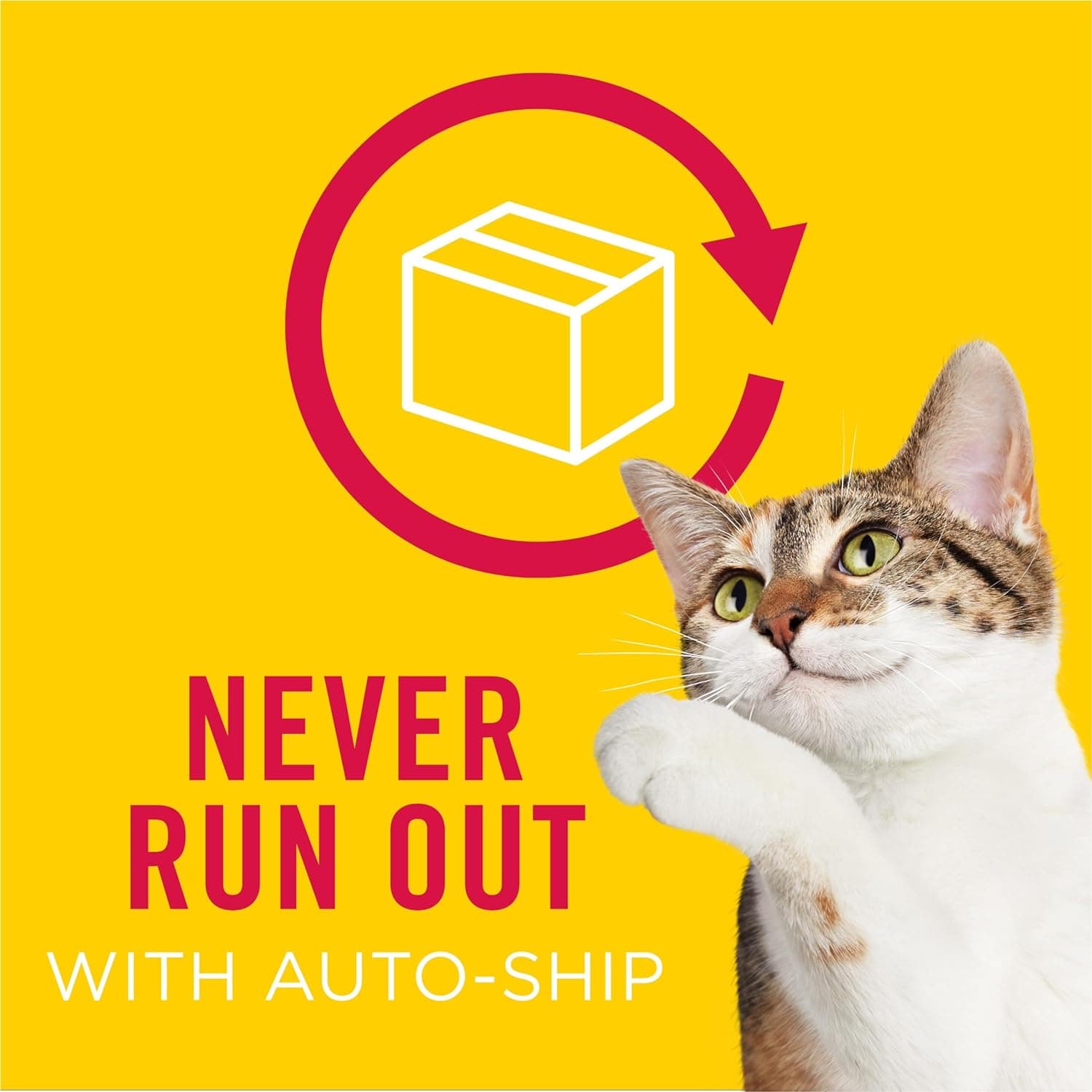 Purina Friskies Gravy Swirlers With Flavors of Chicken, Salmon and Gravy Dry Cat Food - 3.15 lb. Bag 3.15 Pound (Pack of 1) - Image 13