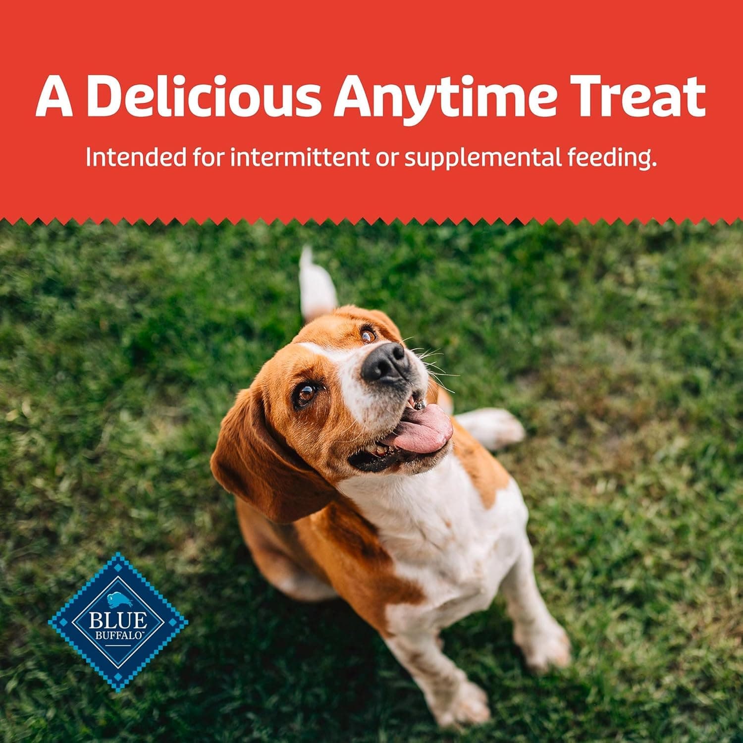 Blue Buffalo Health Bars Crunchy Dog Biscuits, Oven-Baked with Natural Ingredients, Bacon, Egg & Cheese, 3.5-lbs Box Bacon, Egg & Cheese 56 Ounce - Image 9