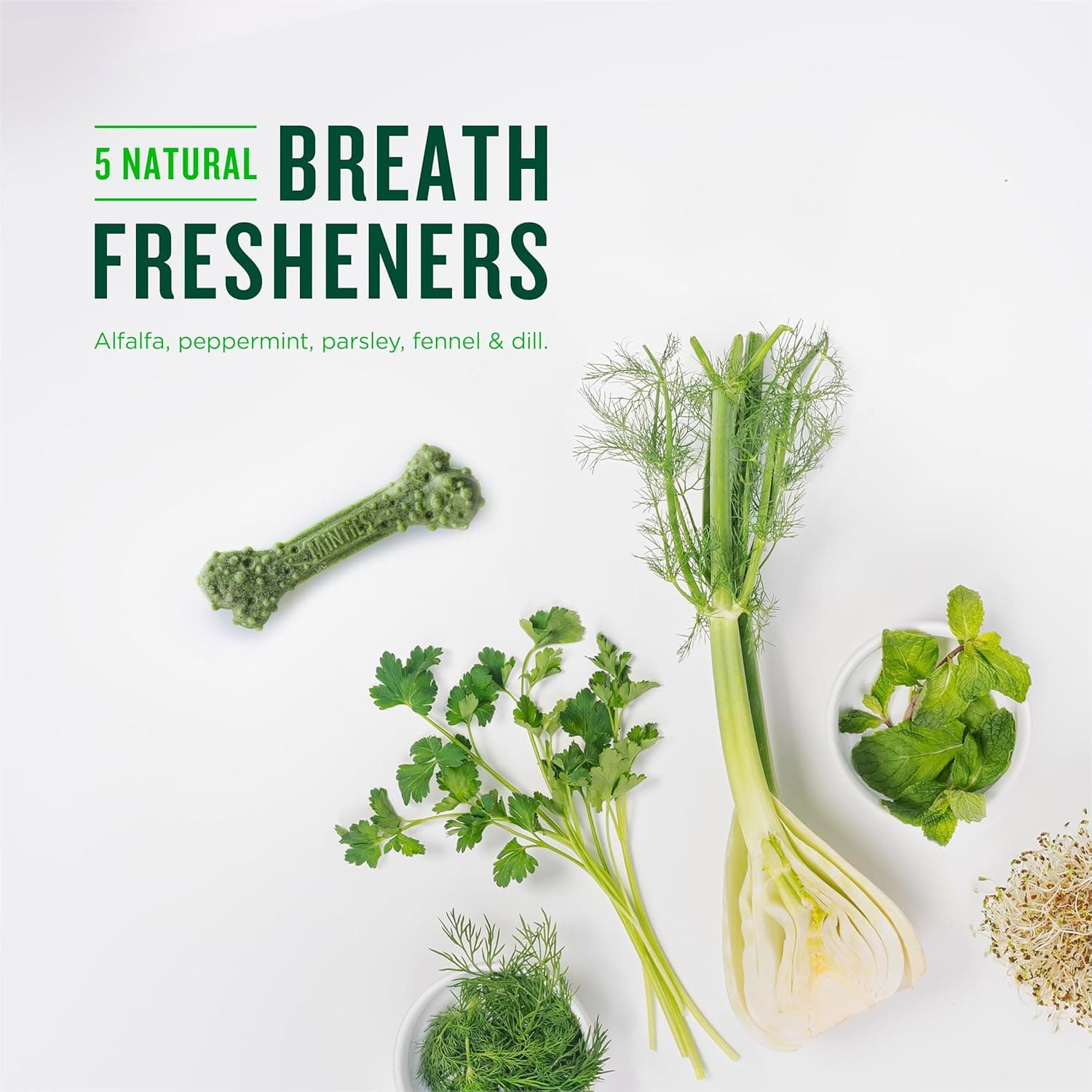 Minties Dog Dental Bone Treats, Tiny/Small Dental Dog Treats, 16 Ounces, Cleans Teeth, Fight Bad Breath, Removes Plaque and Tartar, 16 Count Small Mint 16 Ounces - Image 6