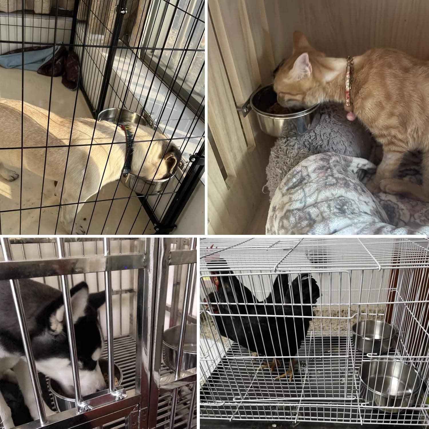 Dog Crate Water and Food Bowl, ShineMe Stainless Steel Dogs Bowls Hanging 2 Pack for Cage Crate Kennel, Spill Proof Dog Bowl for Medium and Small Sized Dogs Cats Pets (6.3 * 2.6” & 5.5 * 2.4”) Silver (40oz+26oz) - Image 10