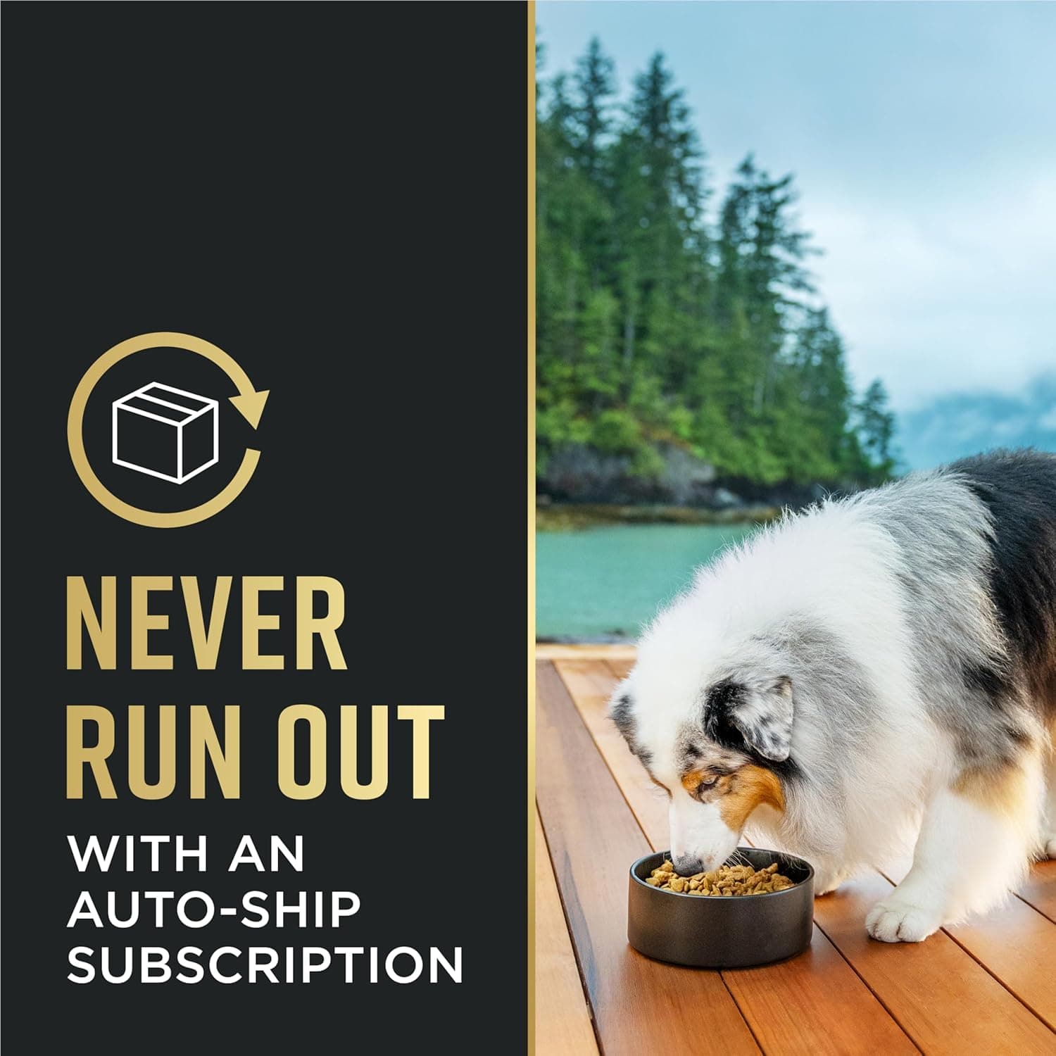 Purina Pro Plan Small Breed Dog Food With Probiotics for Dogs, Shredded Blend Chicken & Rice Formula - 6 lb. Bag Chicken & Rice Shredded Blend 6 Pound (Pack of 1) - Image 10