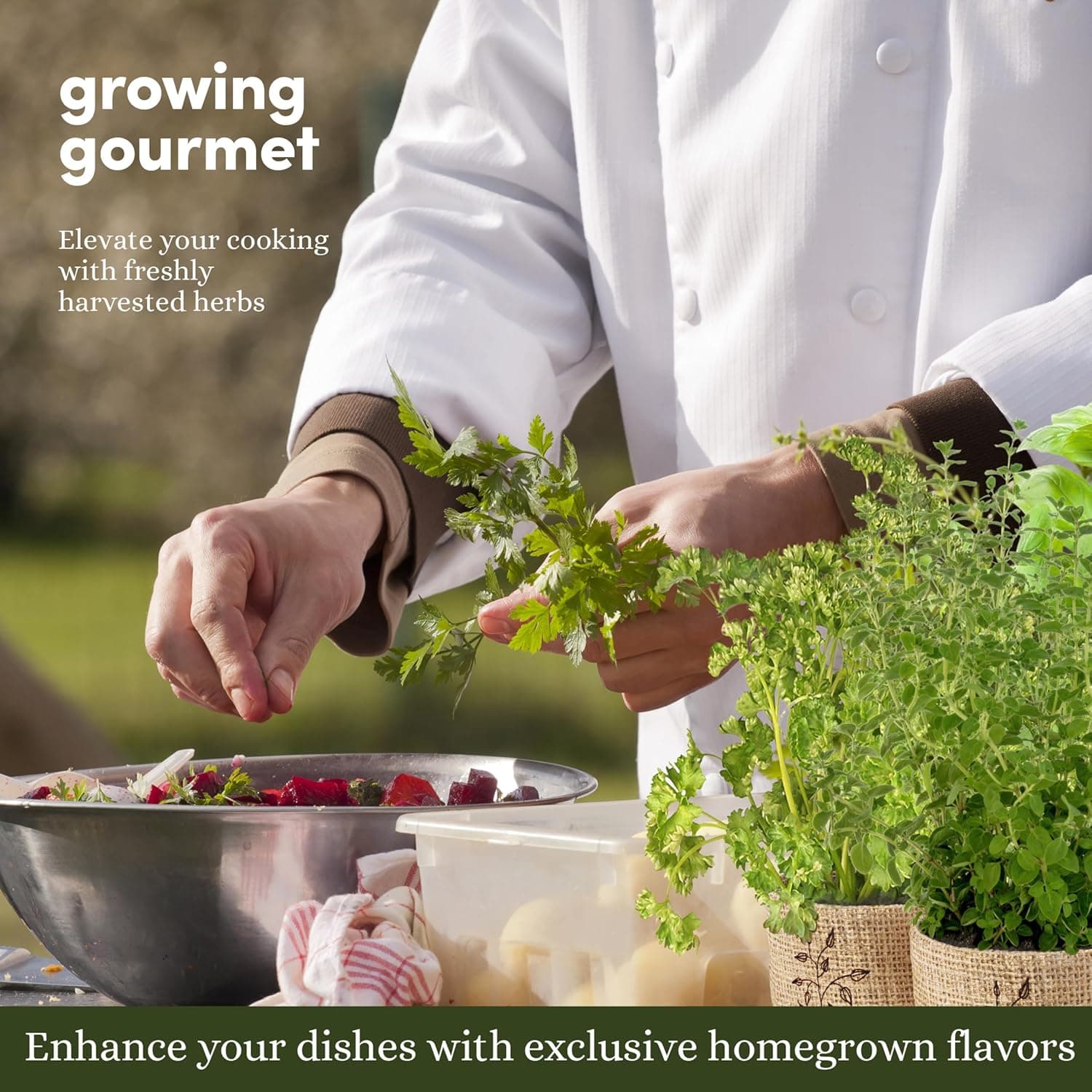 Planters' Choice 9 Herb Indoor Window Garden Kit - House Plants Seeds - Best Unique Christmas Gift Ideas for Women, Mom, Friend, Her, Birthday, Housewarming, Mother - New Home Kitchen Gifts - Image 7