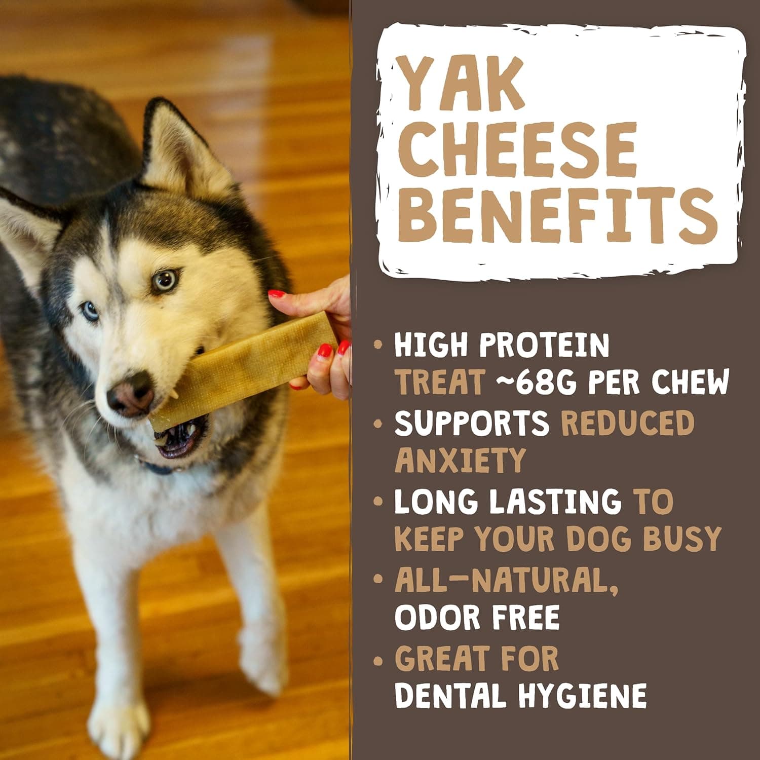 Mighty Paw Yak Cheese Dog Chews – All-Natural Long Lasting Hard Chew for Aggressive Chewers – High Protein, Odor-Free Dog Treat – 3 Ingredient Natural Yak Chews for Large Dogs – (4 Pack) Large - 4 Pack (Most Popular) - Image 2