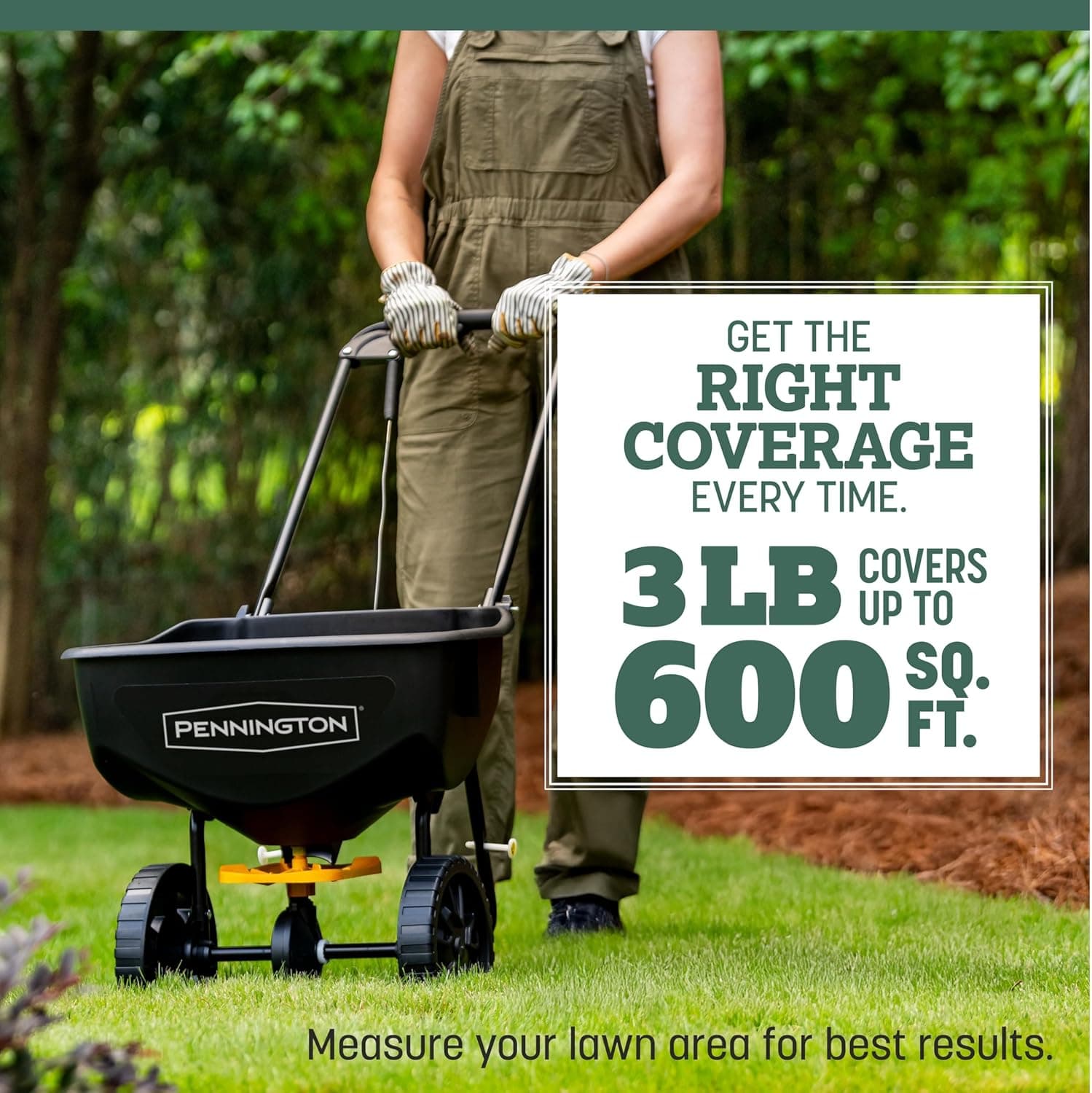 Pennington Kentucky 31 Tall Fescue Penkoted Grass Seed 3 lb - Image 7