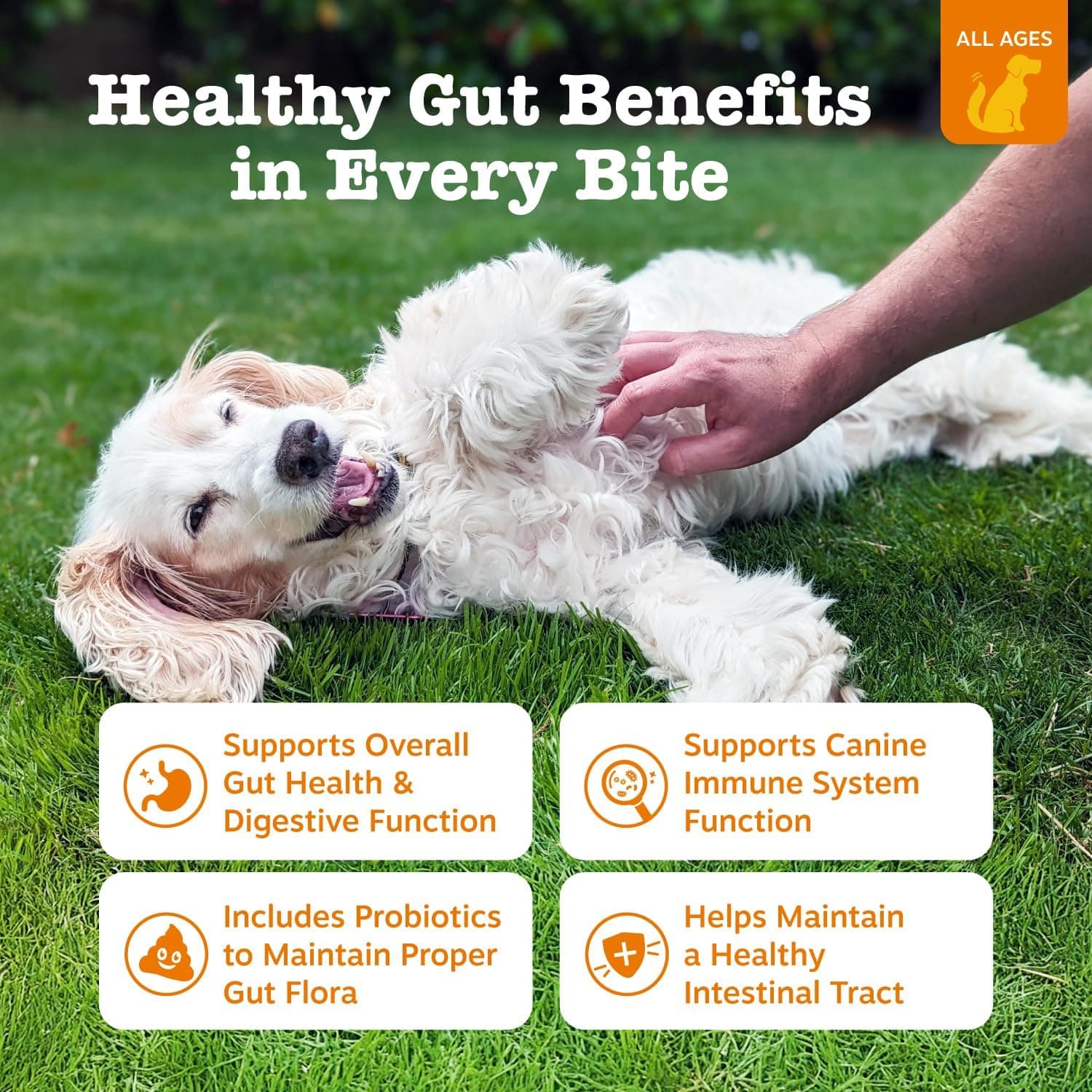 Zesty Paws Probiotics for Dogs - Digestive Enzymes for Gut Flora, Digestive Health, Diarrhea & Bowel Support - Clinically Studied DE111 - Dog Supplement Soft Chew for Pet Immune System - Pumpkin Pumpkin 90 Count - Image 3