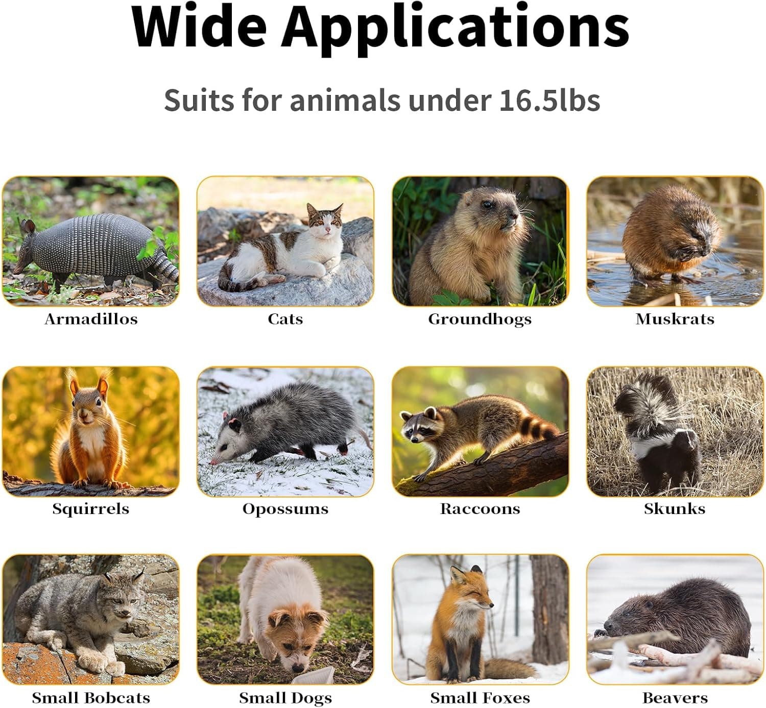 32" Live Animal Traps,Humane Animal Trap for Stray Cats up to 16.5 pounds, Raccoons, Squirrel, Skunk, Mole, Groundhog, Armadillo, Rabbit,Steel Foldable with Pedal Triggers - Image 7