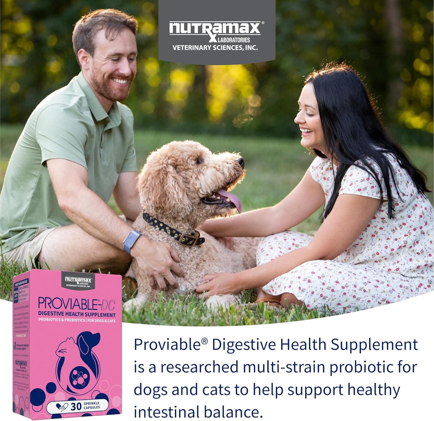 Nutramax Proviable Probiotics for Dogs and Cats, Daily Digestive Health Supplement with Multiple Strains of Bacteria, Cat and Dog Probiotics Plus Prebiotics, 30 Capsules 30 Count - Image 4