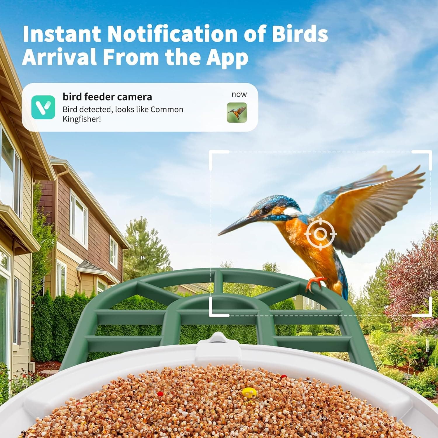 Bird Feeder with Camera with AI Identify Birds Species Solar Panel, Smart Bird House with Cam, 2K Live View, Instant Arrival Alerts Green - Image 8