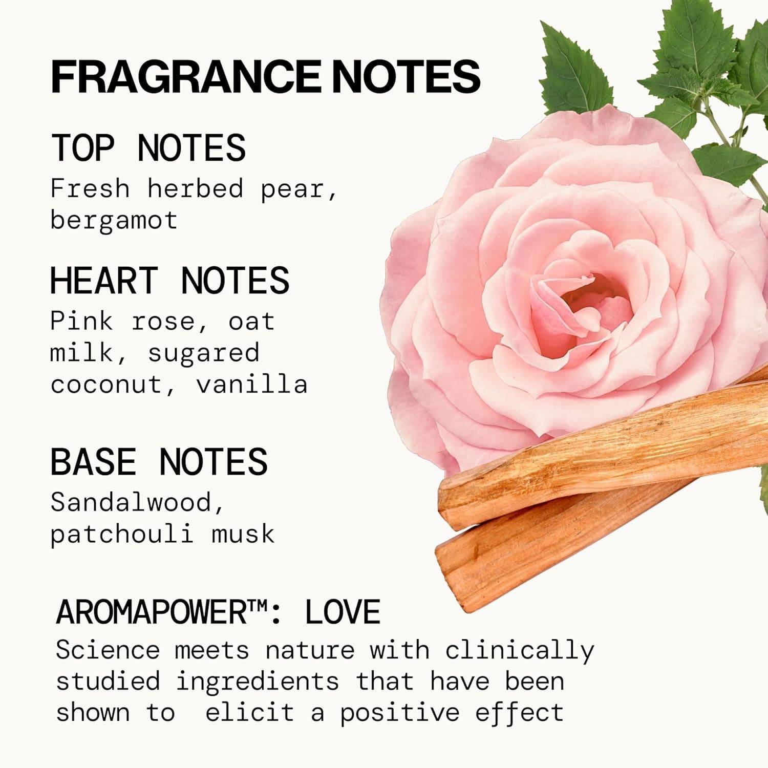 Pacifica Dream Moon Womens Spray Perfume 1 fl oz – Long-Lasting Floral Woody Fragrance for Her - Rose, Patchouli, Sandalwood – 100% Vegan, Cruelty-Free, Phthalate-Free Fragrance Dream Moon: Pink Rose, Sandalwood, Patchouli 1 Fl Oz (Pack of 1) - Image 6