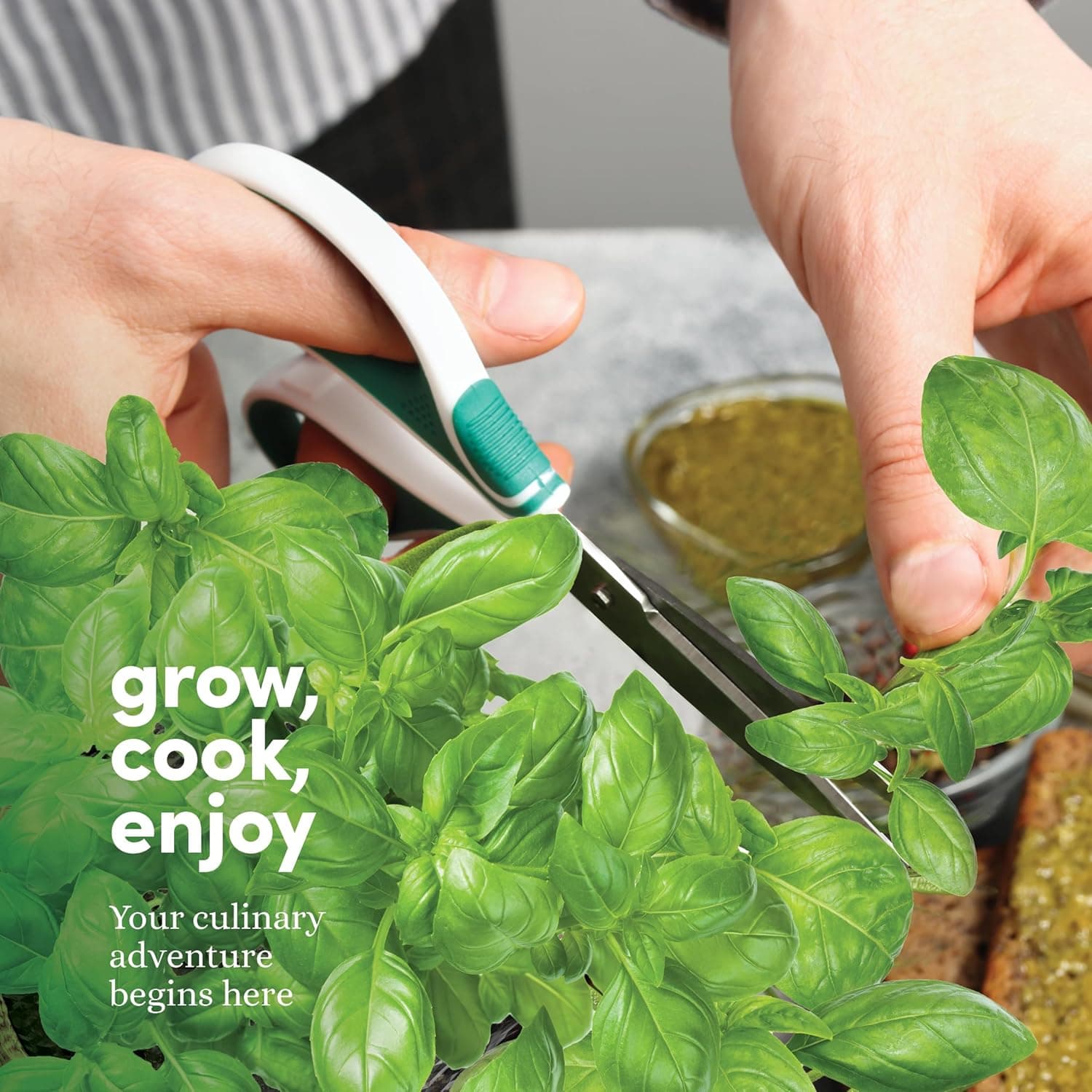 Planters' Choice 9 Herb Indoor Window Garden Kit - House Plants Seeds - Best Unique Christmas Gift Ideas for Women, Mom, Friend, Her, Birthday, Housewarming, Mother - New Home Kitchen Gifts - Image 6