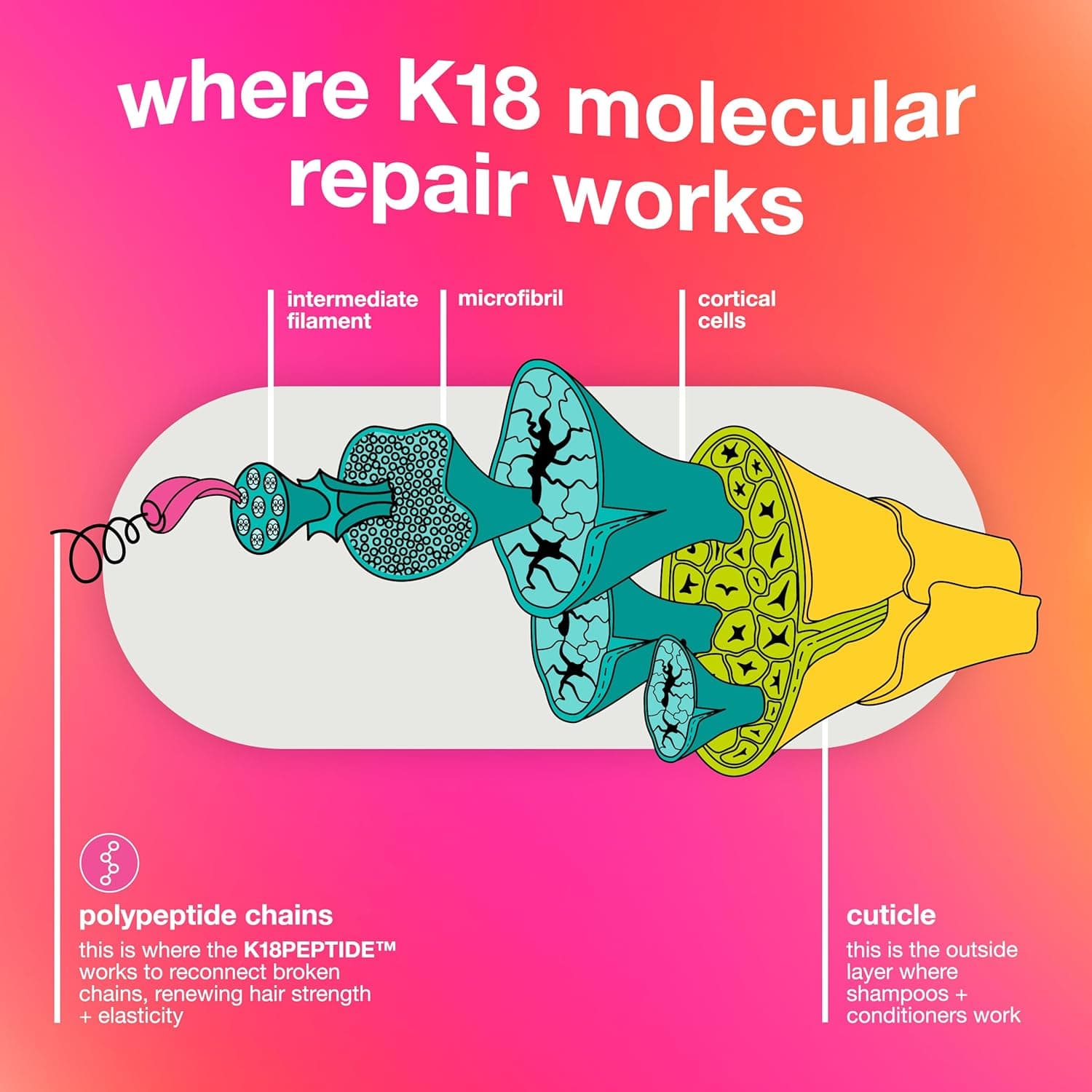 K18 Leave-In Molecular Repair Hair Mask, Patented, Lasting Repair For Dry, Frizzy, Damaged Hair, Reverse Damage In 4 Minutes From Bleach, Color, Chemical Services + Heat 0.51 Fl Oz (Pack of 1) - Image 6