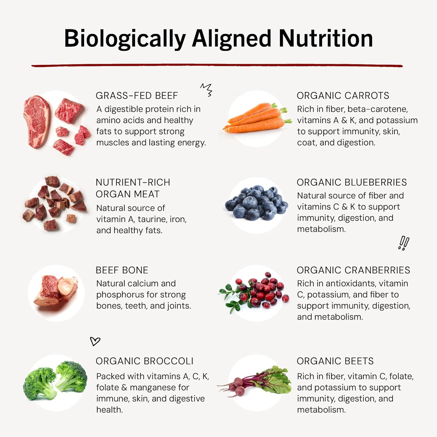Stella & Chewy's Freeze-Dried Raw Dinner Patties - Beef Recipe - High Protein Grain-Free Puppy & Dog Food - Perfect For Picky Eaters - 25 oz Super Beef 1.56 Pound (Pack of 1) - Image 9