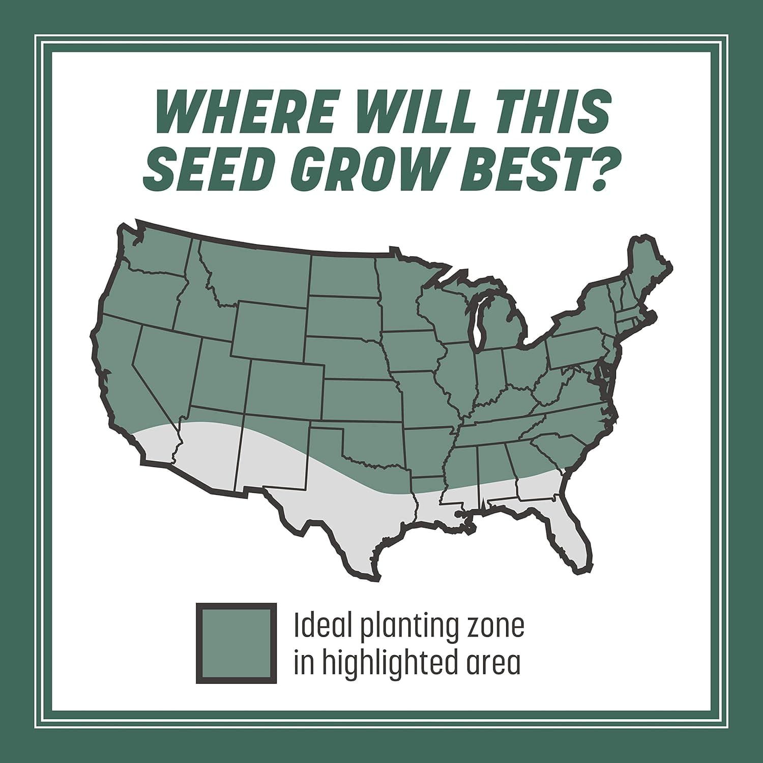 Pennington Kentucky 31 Tall Fescue Penkoted Grass Seed 3 lb - Image 5