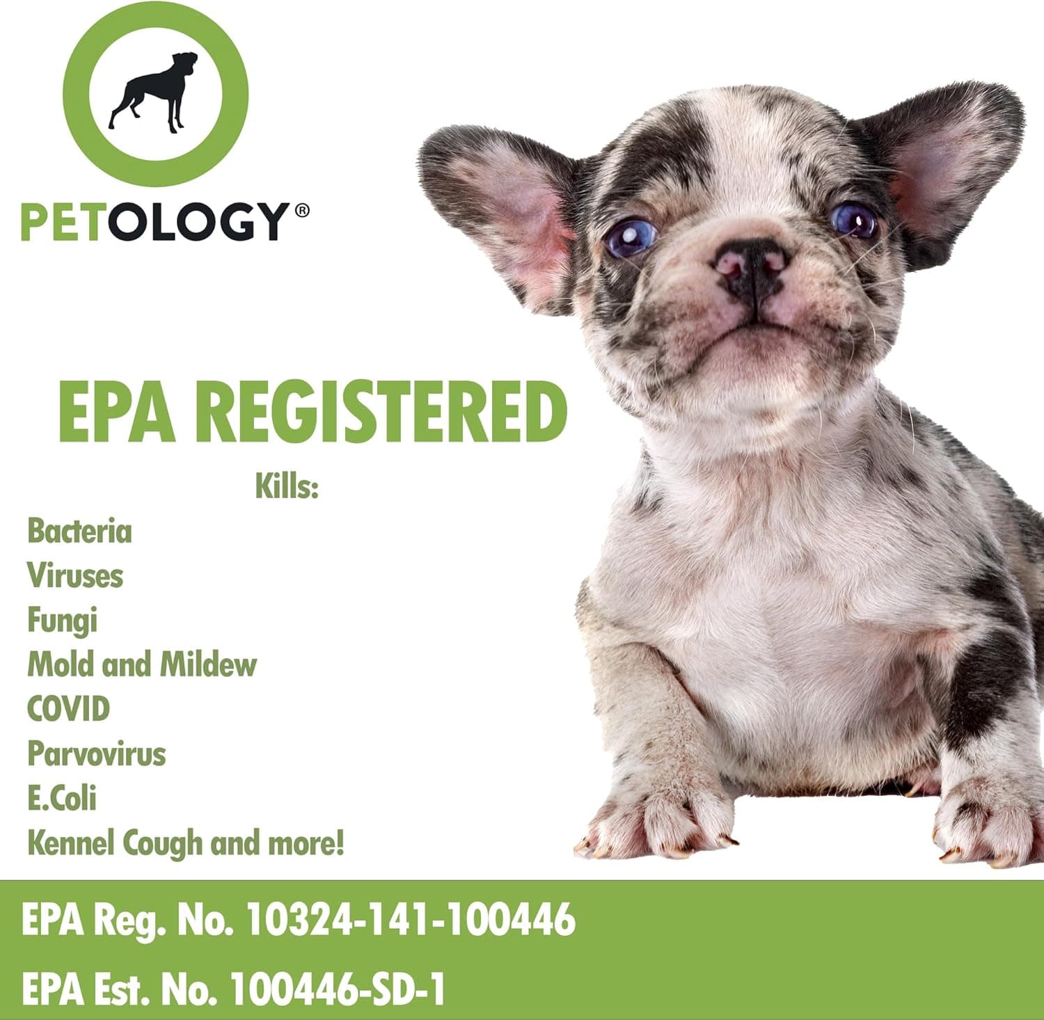 256:1 Disinfectant, 1 Gallon - Liquid Concentrate Disinfectant and Deodorizer, Sanitizer for Veterinary Clinics and Kennels, Effective Against Viruses and Bacteria (Fresh and Clean) - Image 6