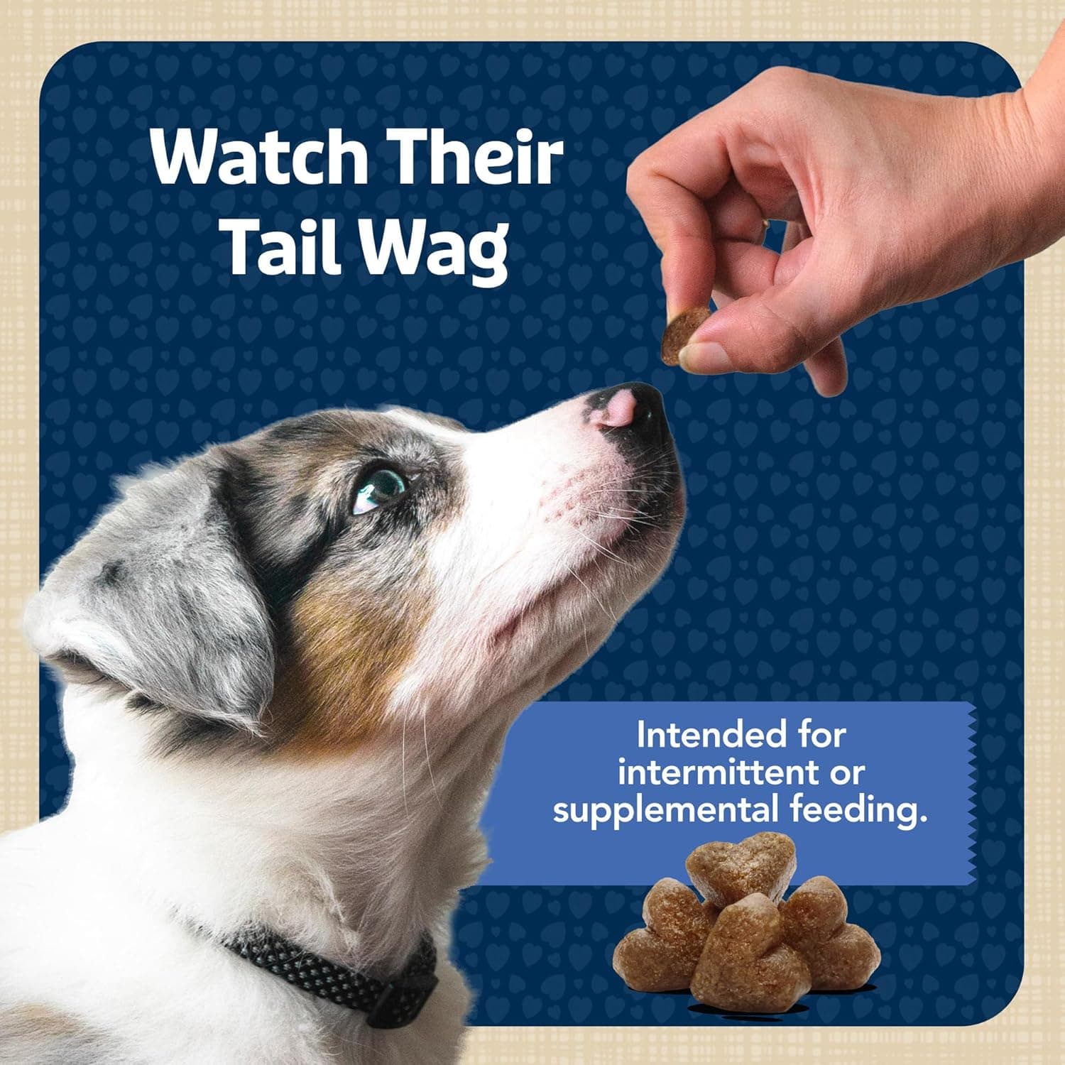 Blue Buffalo Bits Soft Dog Treats for Training, Made with Natural Ingredients & Enhanced with DHA, Chicken Recipe, 19-oz Bag Chicken 19 Ounce (Pack of 1) - Image 9
