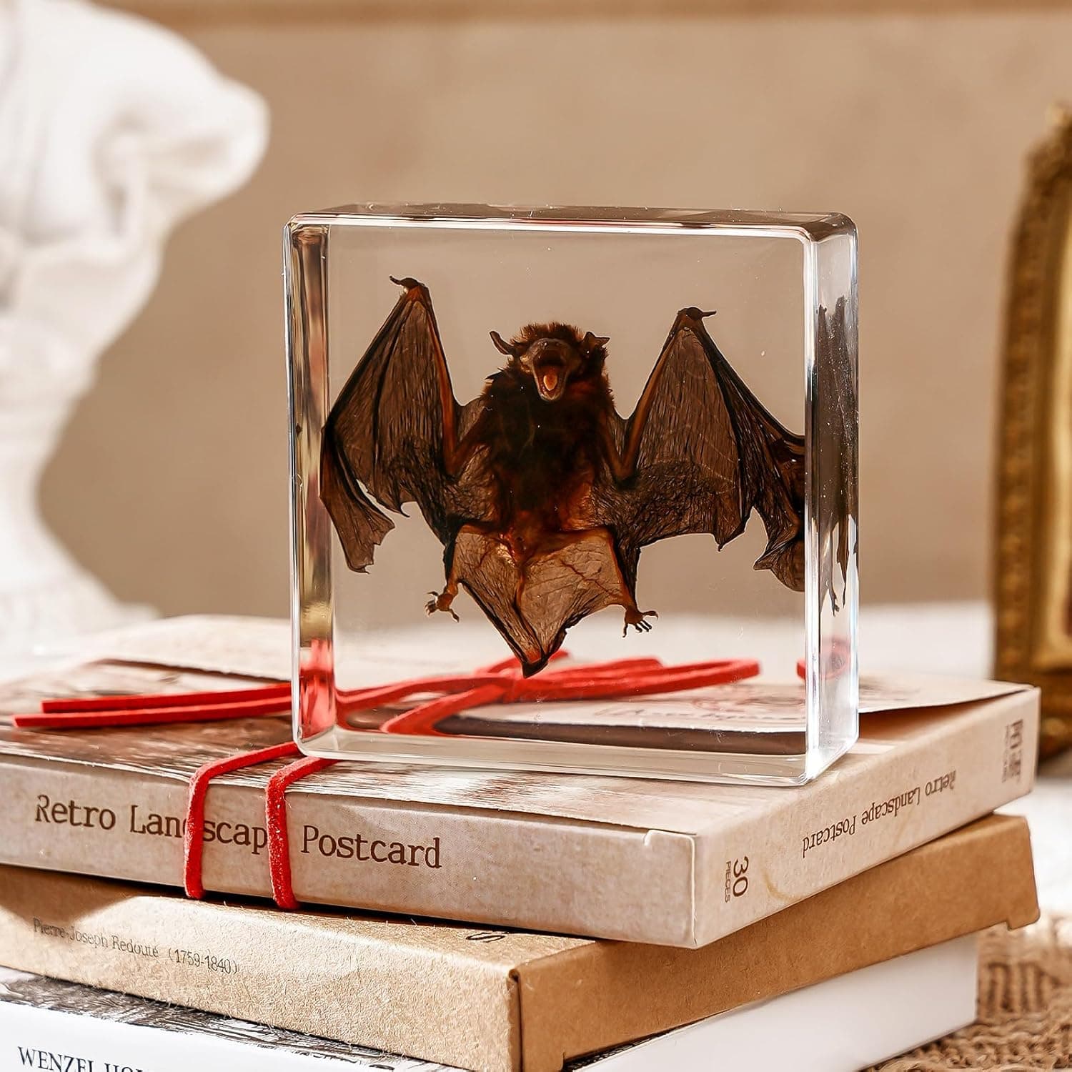 Taxidermy Bat, Real Bat Taxidermy Animals, Oddities Taxidermy, Resin Bat Taxidermy for Science Classroom Specimens Education, Great Gift for Taxidermy, Bat Decor, Oddities, Biology Enthusiasts-3x3x1in transparent resin bat taxidermy - Image 3