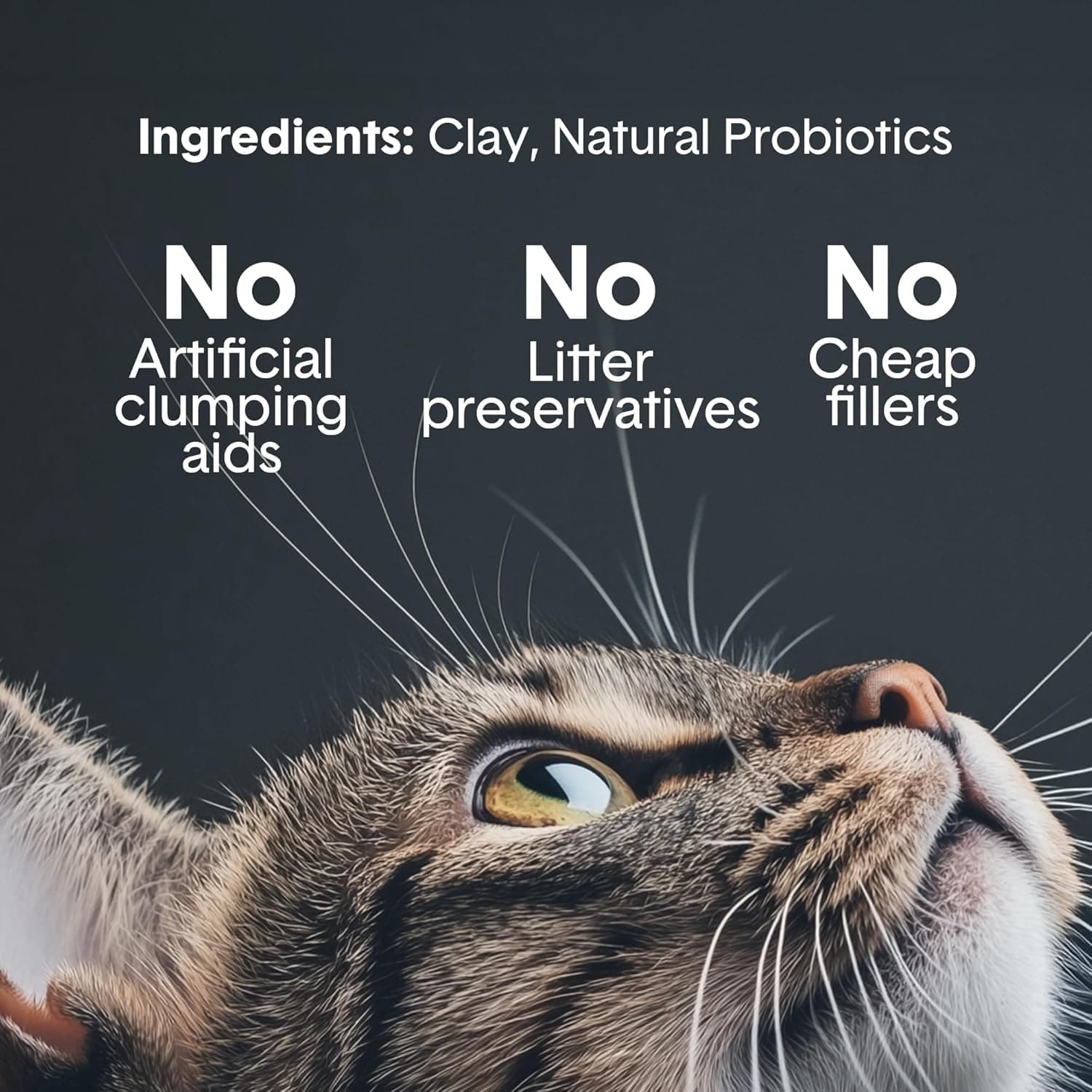 Boxie Probiotic Cat Litter, 40 Day Odor Control, Clumping Clay Kitty Litter, Odor Eliminating Probiotics, Dust-Free, No Fragrances No Fillers, 16 lb PRO 16 lb - Image 3