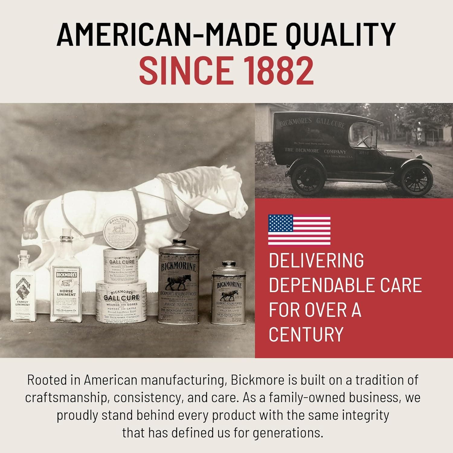 Bickmore Bick 4 Dầu Dưỡng Da - Tốt Nhất Kể Từ Năm 1882 - Chất Tẩy Rửa & Dưỡng Da - Khôi Phục Độ Bóng & Bảo Vệ Tất Cả Các Bề Mặt Mịn - Image 8