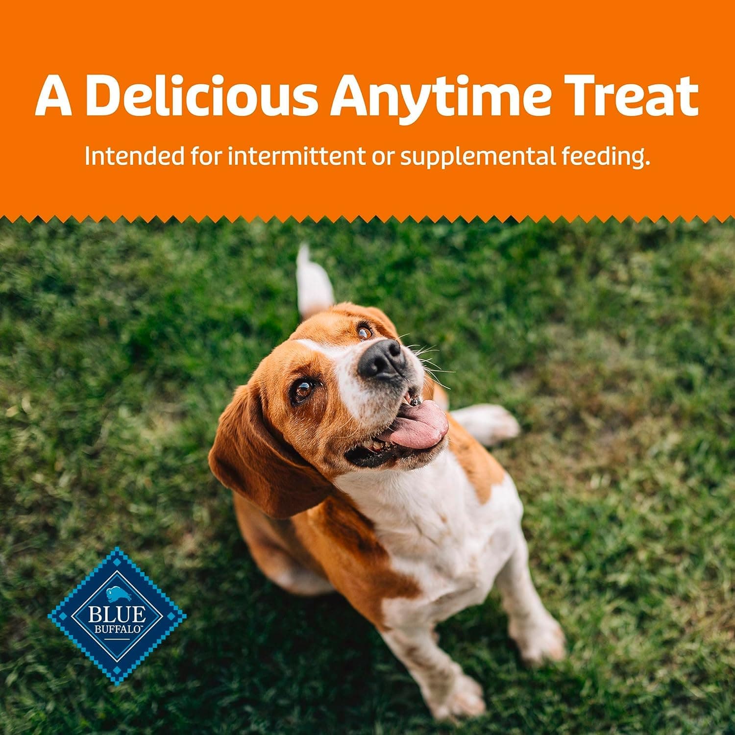 Blue Buffalo Health Bars Crunchy Dog Biscuits, Oven-Baked with Natural Ingredients, Pumpkin & Cinnamon, 16-oz Bag Pumpkin & Cinnamon 1 Pound (Pack of 1) - Image 10