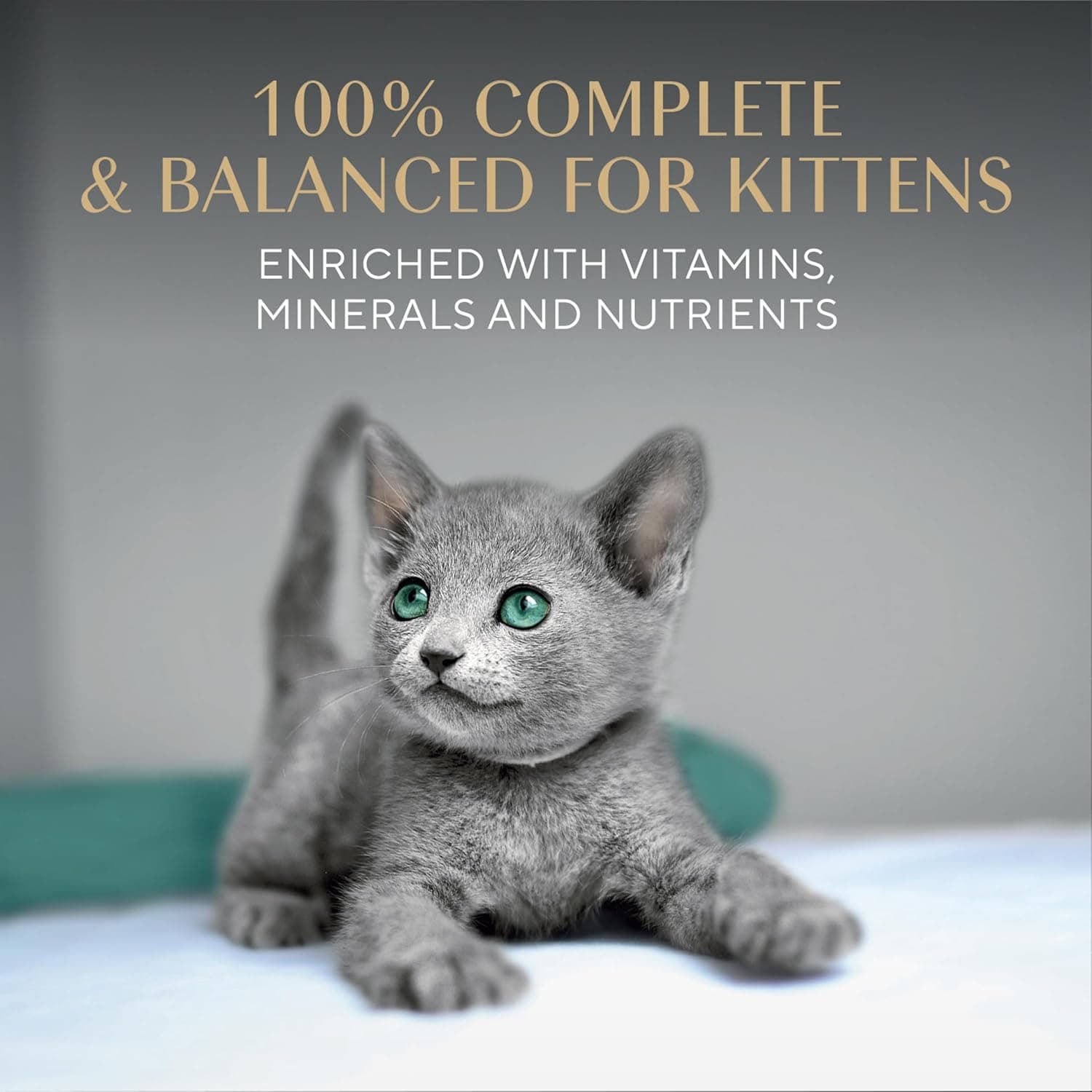 Sheba Perfect Portions Kitten Wet Cat Food Pate Chicken Entree, Salmon Entree, and Turkey Entree, 2.6 oz. Twin-Pack Trays (24 Count, 48 Servings) Chicken, Salmon & Turkey 24 Count (Pack of 1) - Image 5