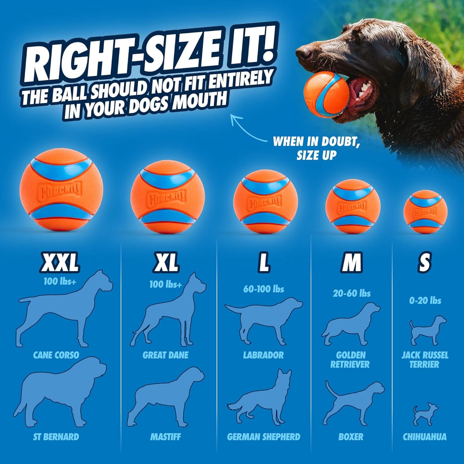 Chuckit! Ultra Ball Dog Toy - Medium Bouncy Fetch Balls For Dogs 20-60 lbs - Made from Durable Rubber - Floating Water Pet Toys - Size Medium - 2.5-inch Diameter - Pack of 2 Medium Medium (2 Pack) - Image 6