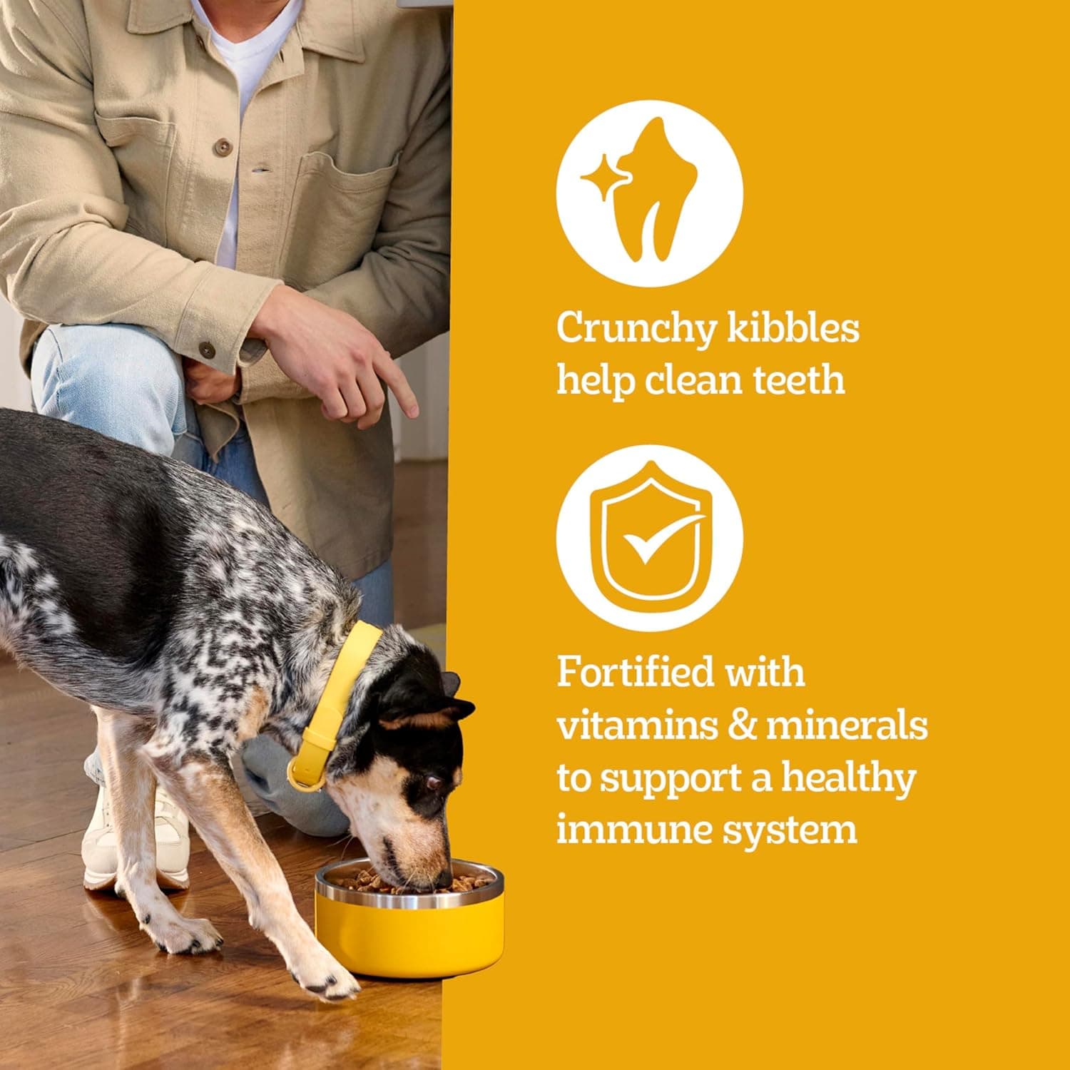 Pedigree Dry Dog Food for Adult Dogs, High Protein, Beef and Lamb Flavor, 18 lb. Bag Beef & Lamb 18 Pound (Pack of 1) - Image 6